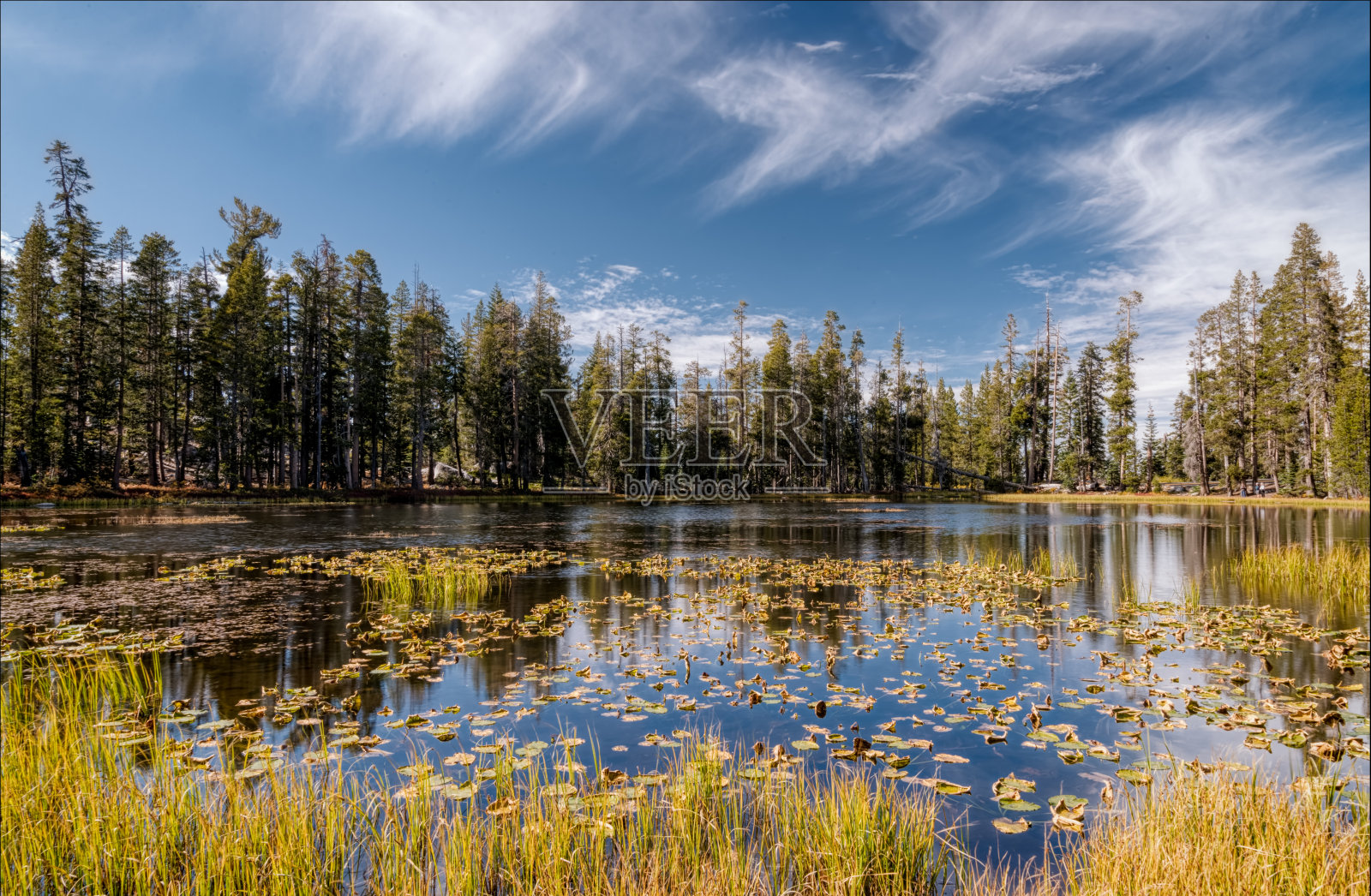 午睡湖,CA。照片摄影图片