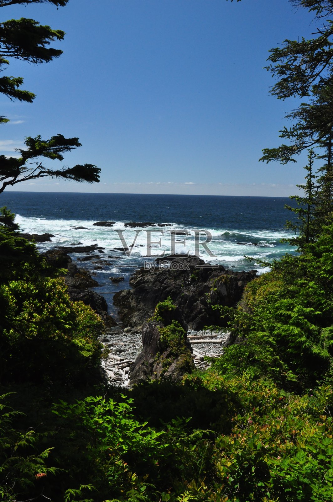 加拿大狂野的西海岸照片摄影图片