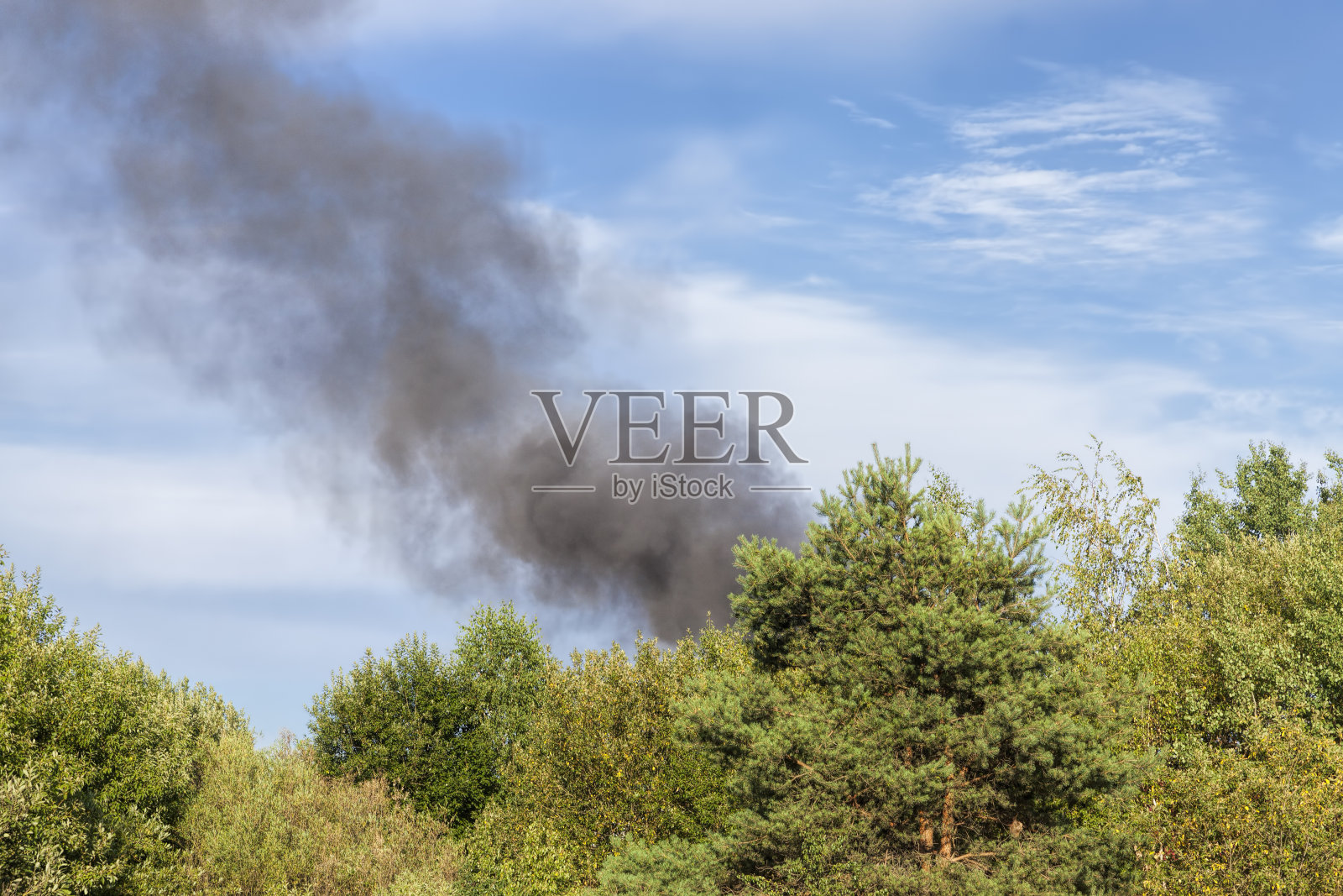 森林树木和建筑物燃烧产生的黑烟照片摄影图片