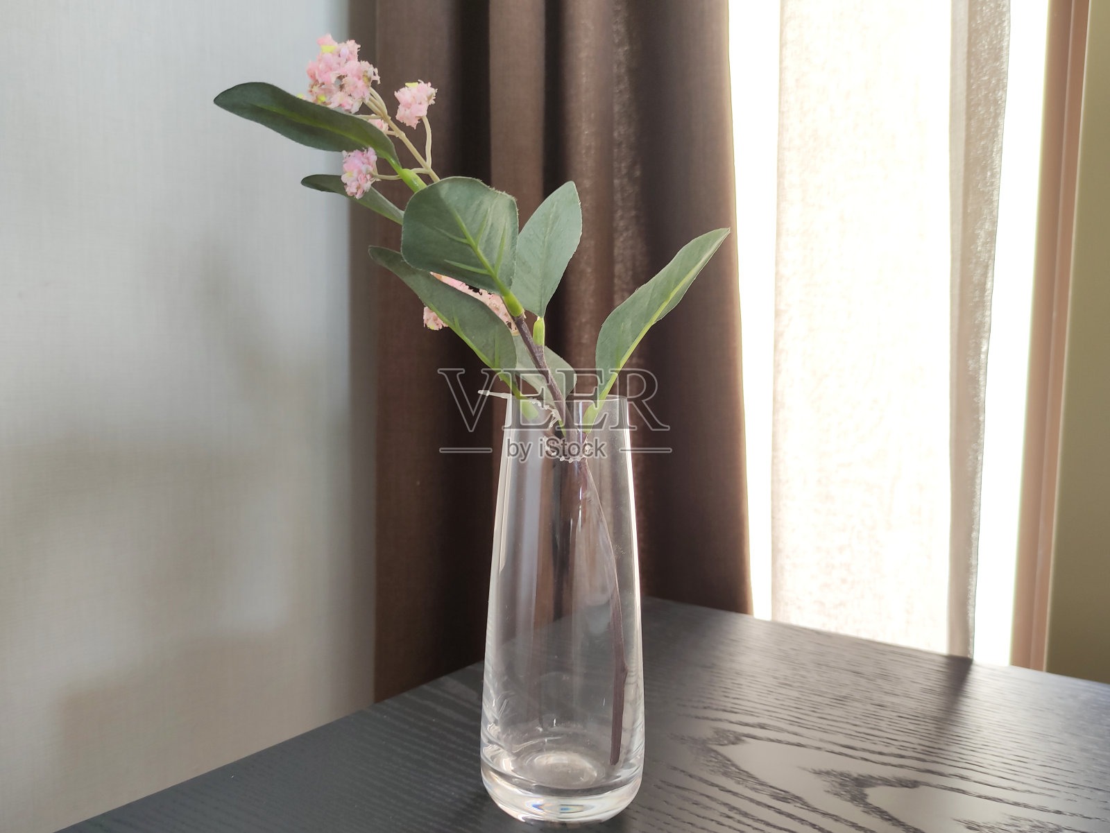 花照片摄影图片