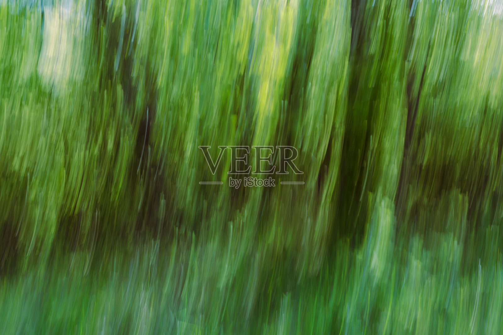 天然抽象森林艺术品照片摄影图片