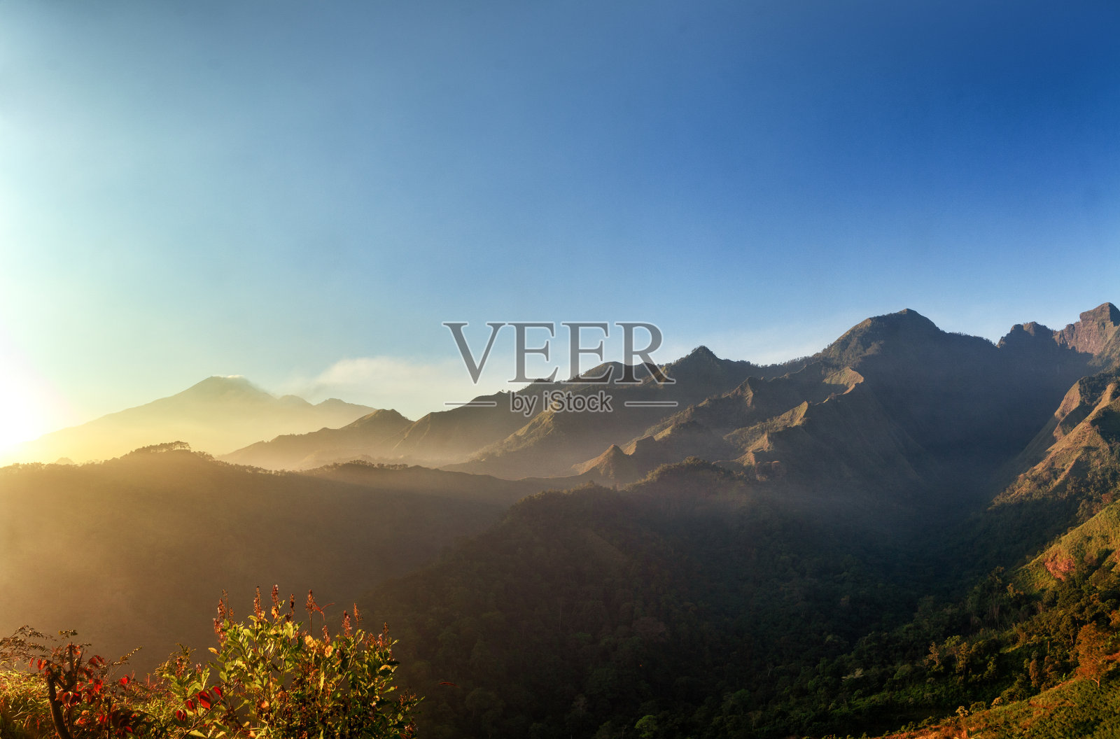 清晨的阳光明媚照片摄影图片