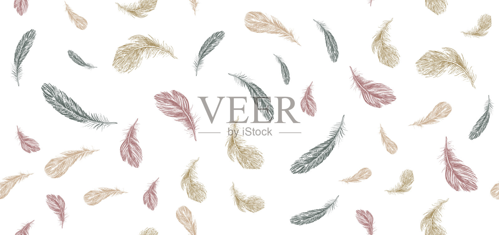 羽毛。手绘素描风格。设计元素图片