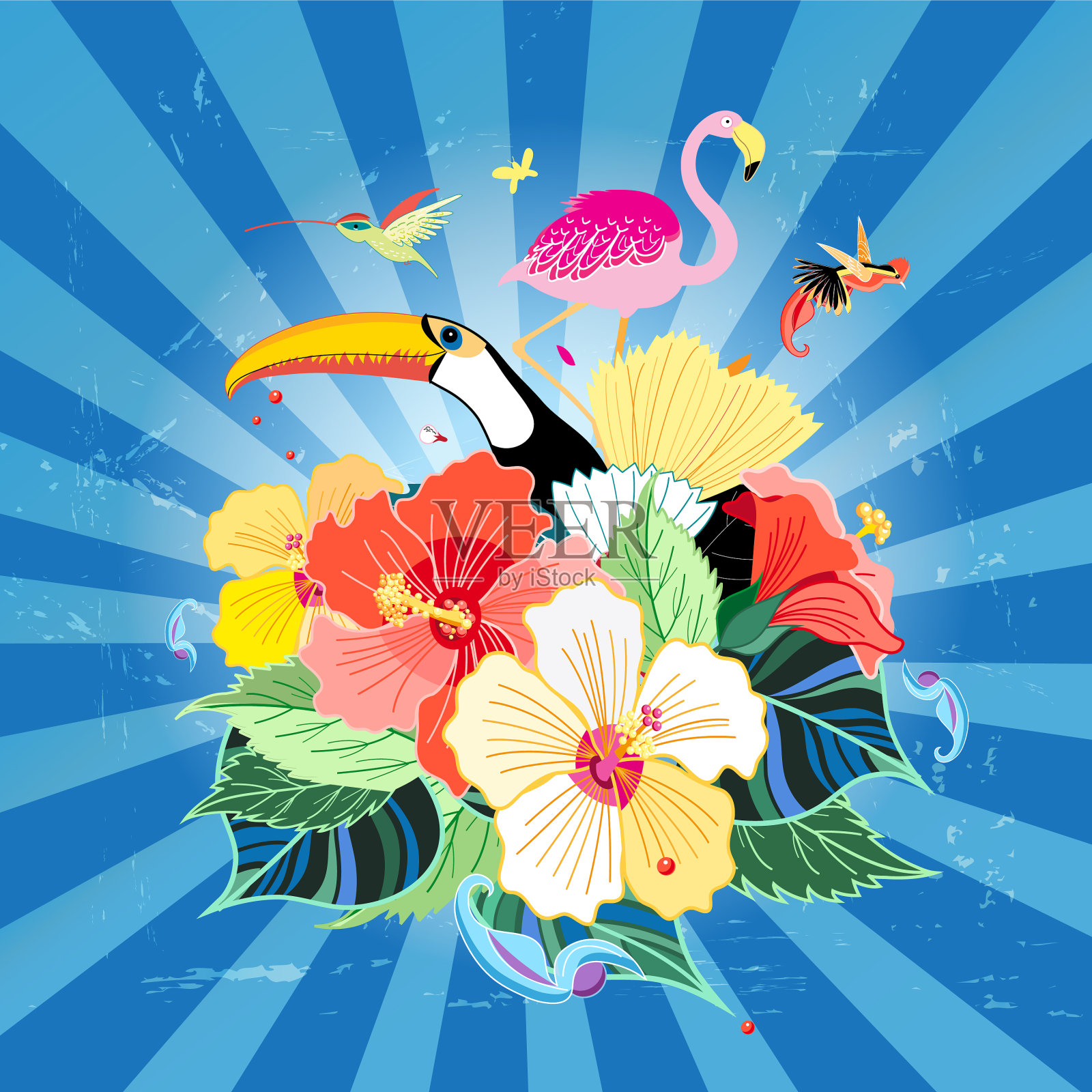 鸟的天堂和植物插画图片素材