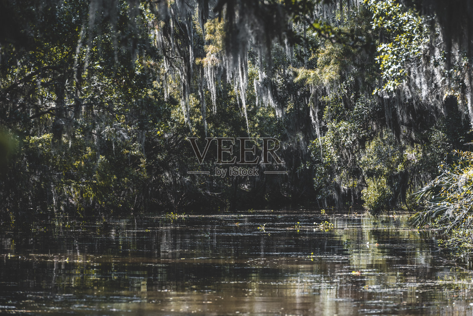 绿色通道照片摄影图片