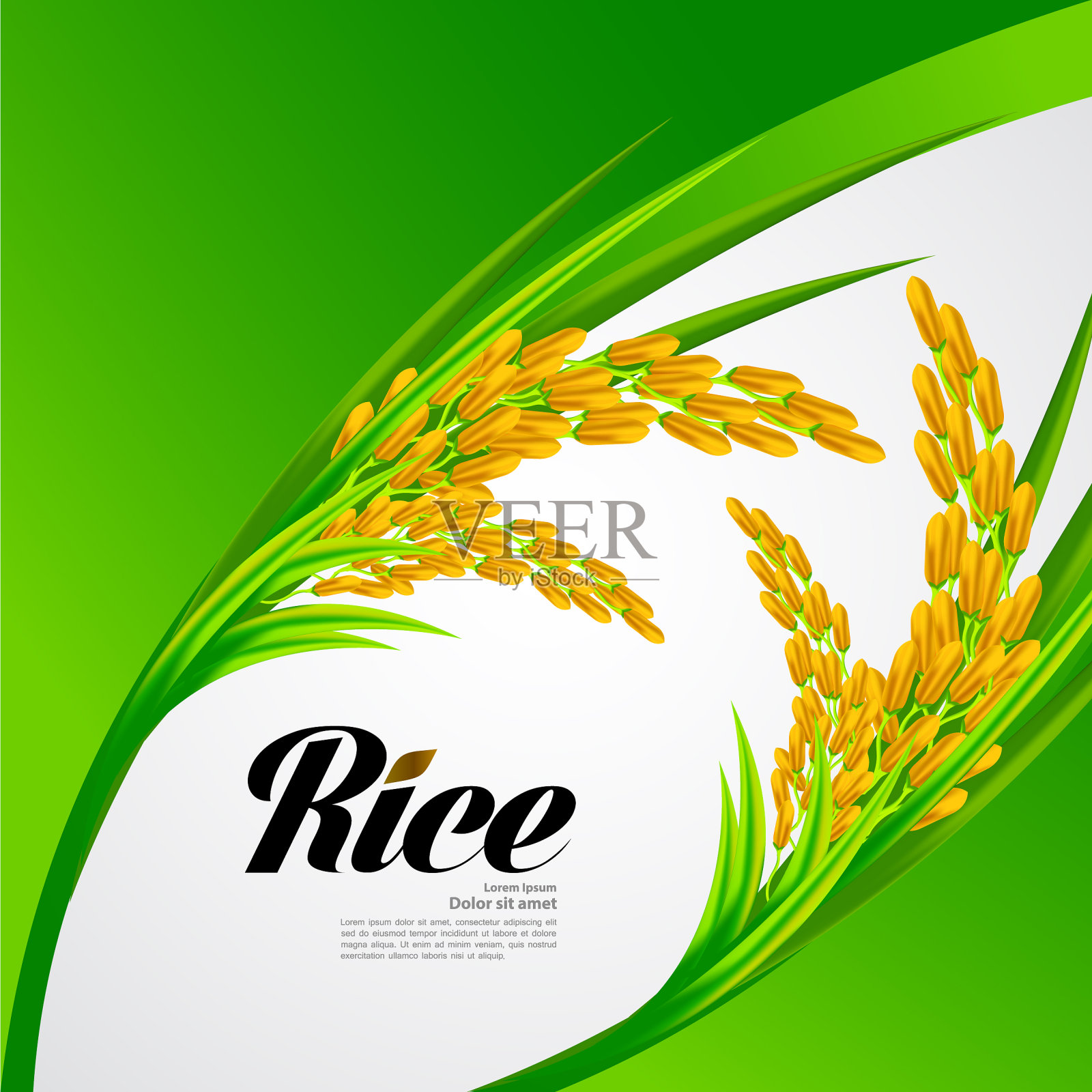 优质大米，优质大米插画图片素材