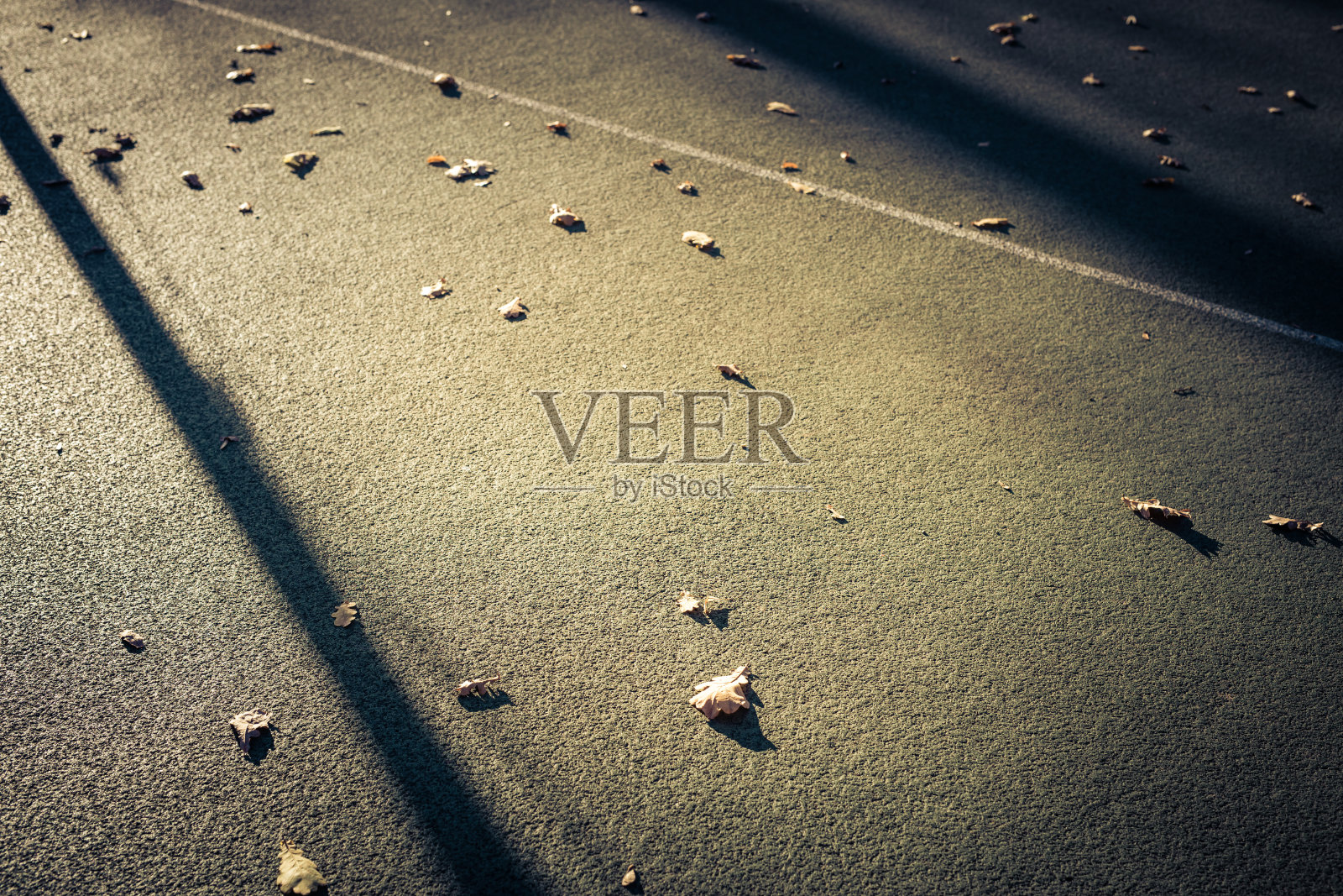 公园里的跑道照片摄影图片