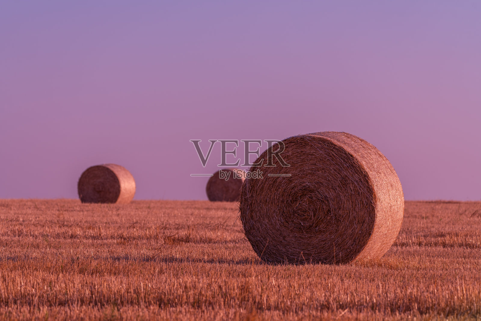 田野里干草翻滚，夕阳温暖照片摄影图片