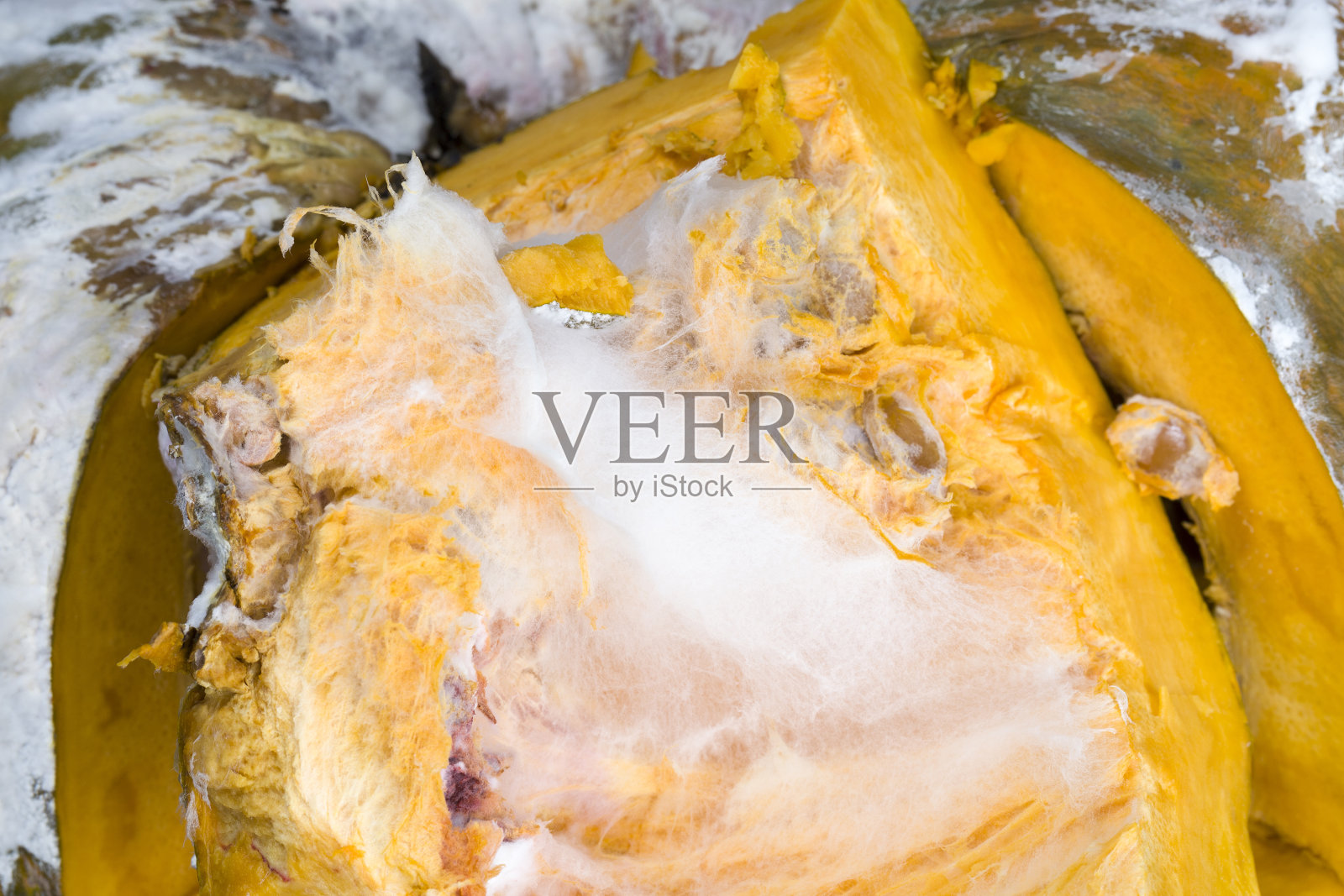 熟透的南瓜在储存期间违规照片摄影图片