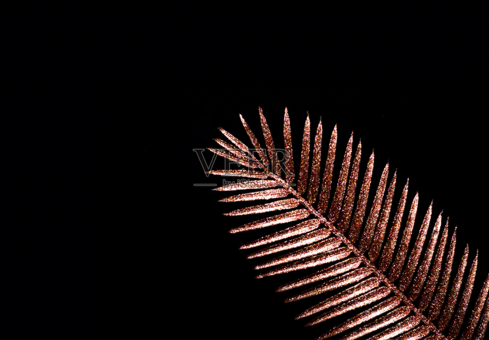 金色的热带棕榈叶在黑暗的背景上闪着微光。丛林式的最小概念。空间创意副本。照片摄影图片