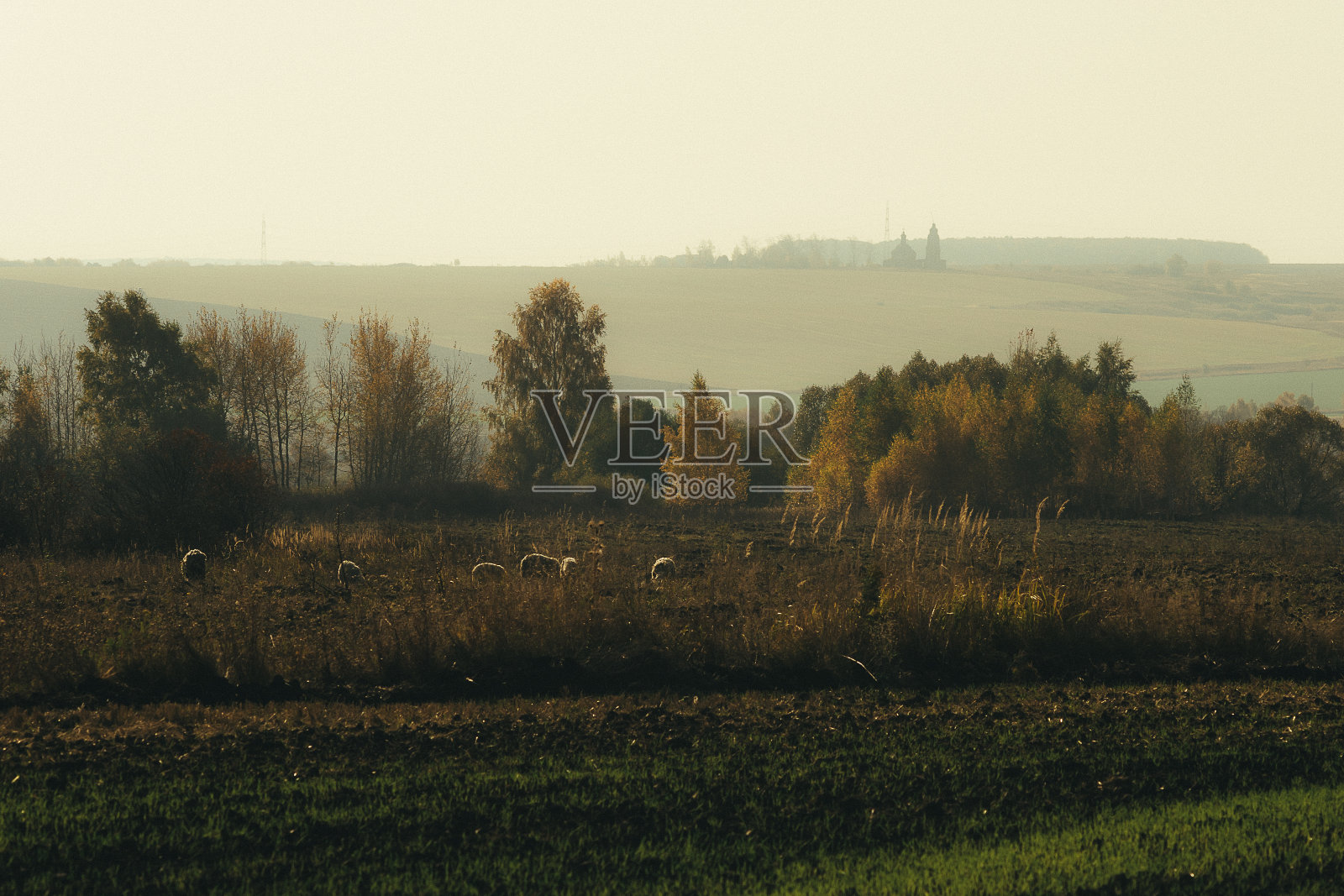 秋天的时间照片摄影图片