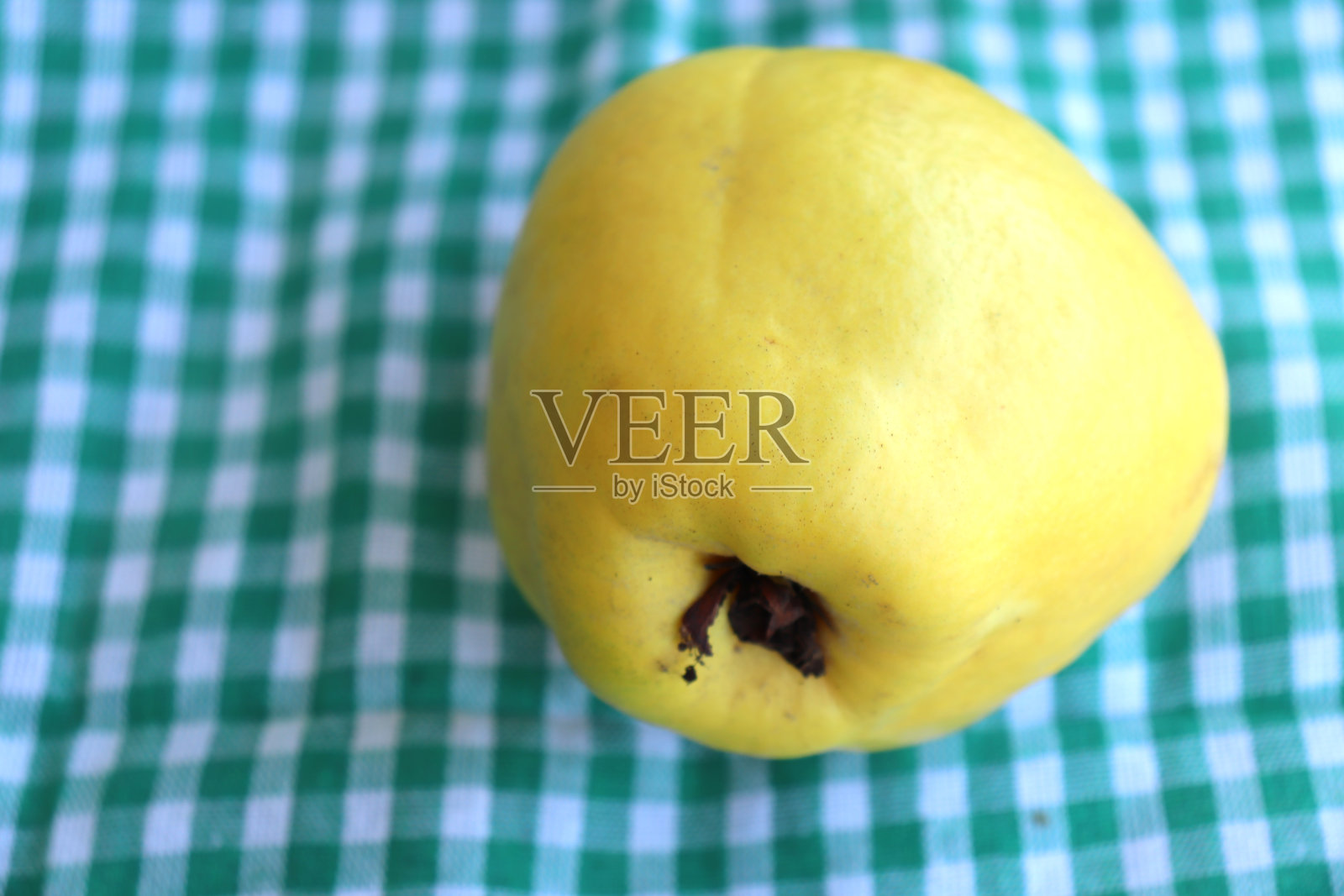 绿色格子厨房布上的黄色榅桲果照片摄影图片