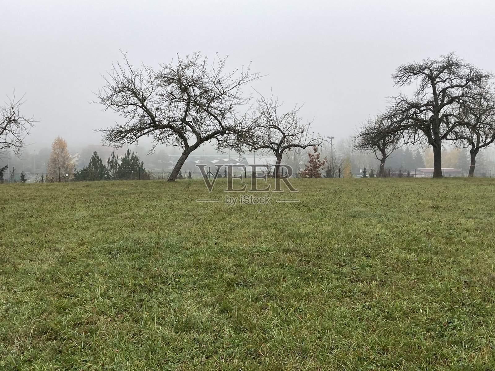 可怕的雾照片摄影图片