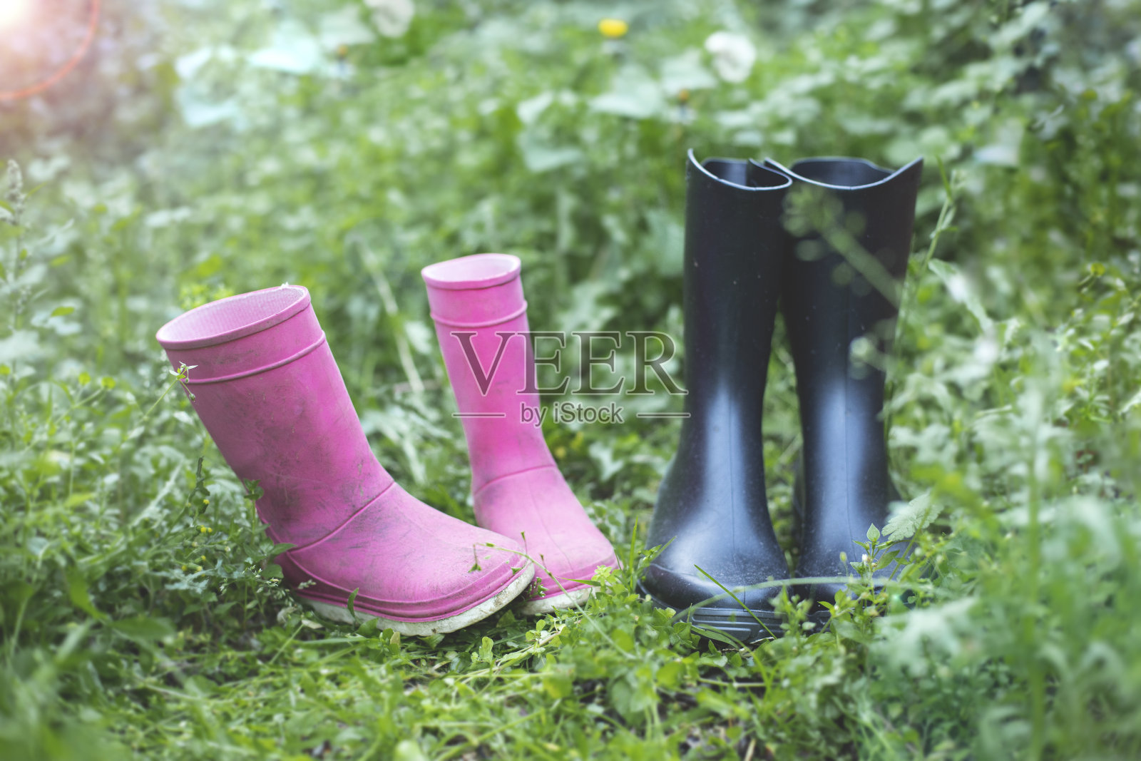 孩子和大人在花园里穿橡胶靴照片摄影图片