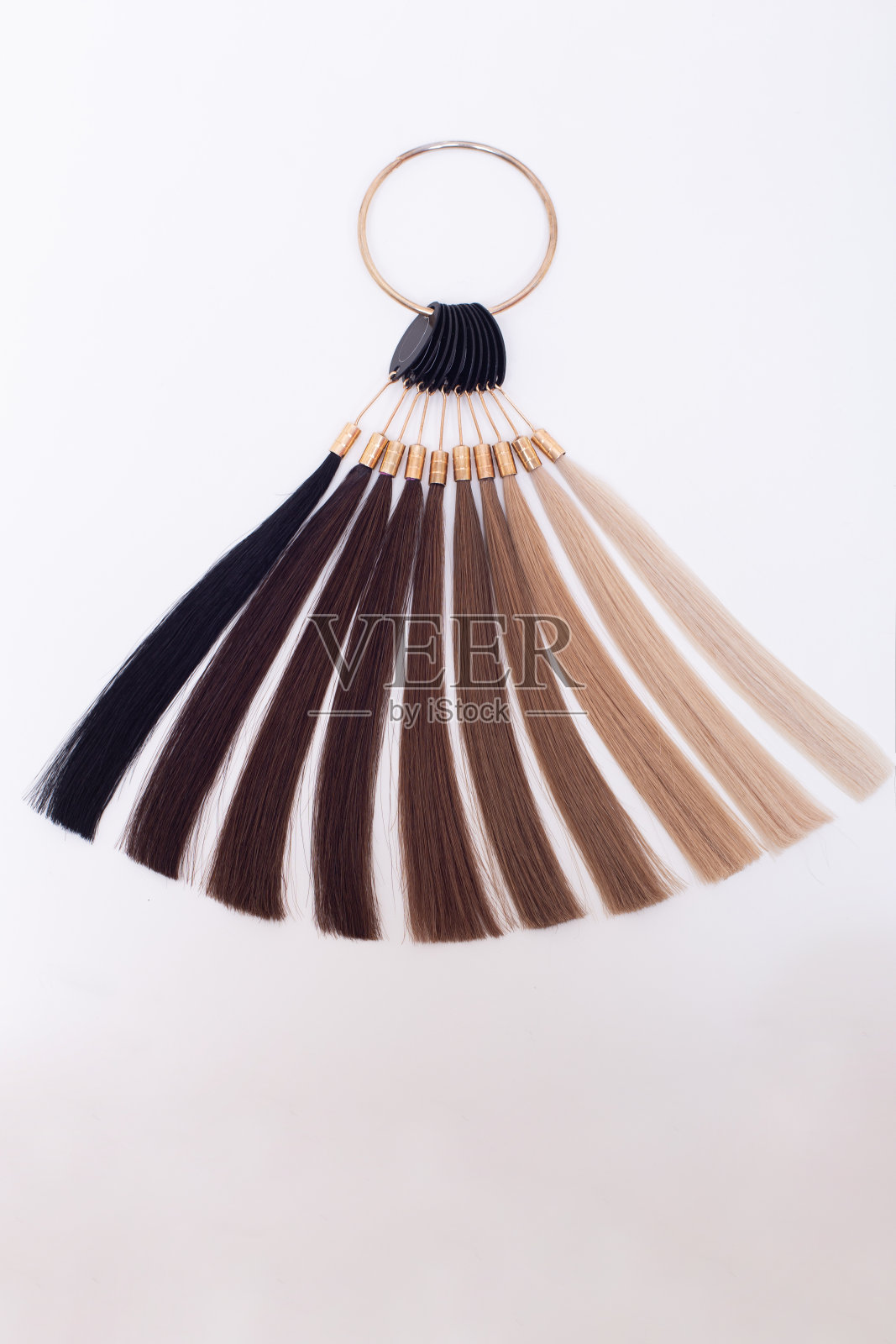 头发的底色从浅黑色到金色照片摄影图片