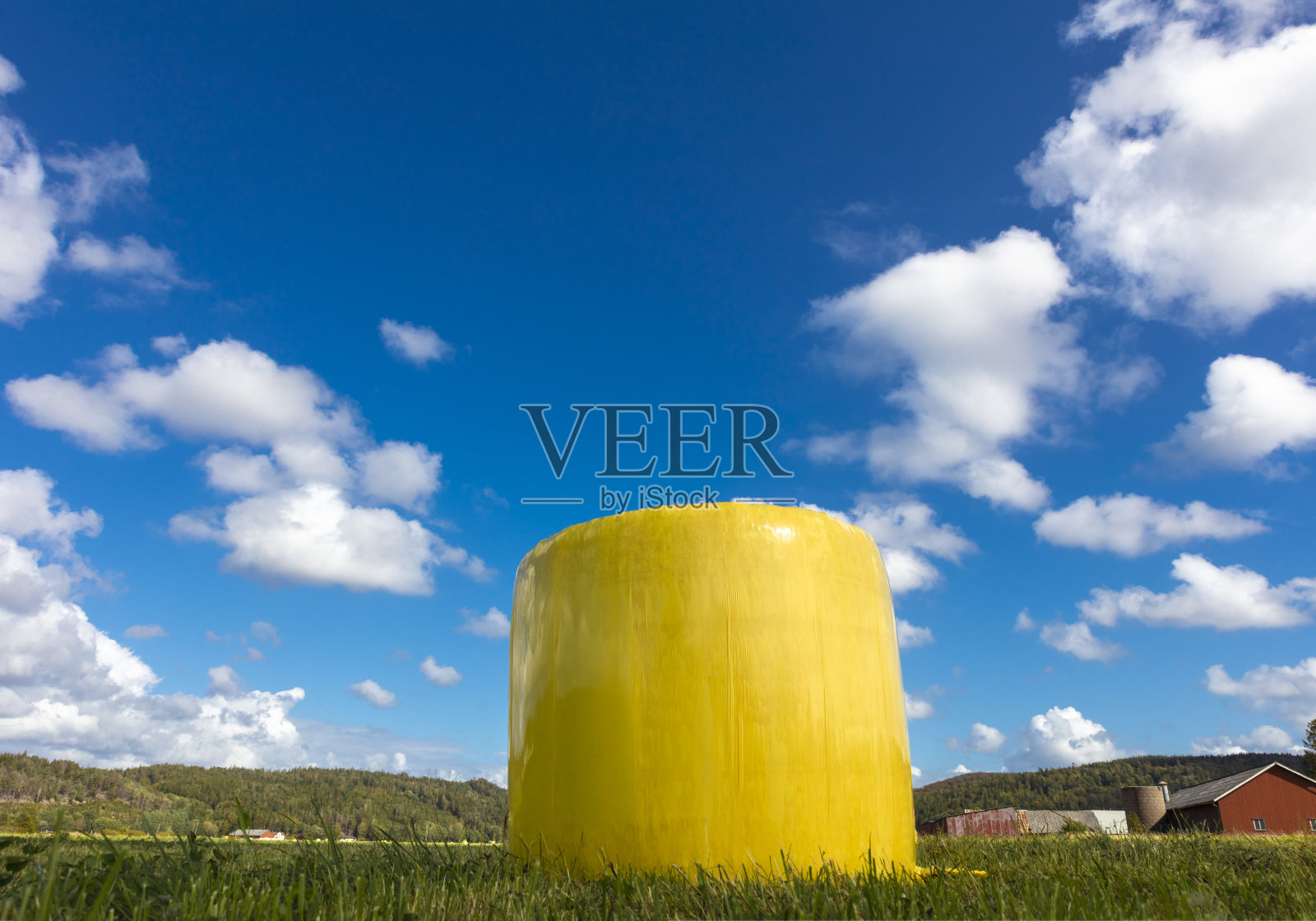 黄色的青贮饲料球照片摄影图片