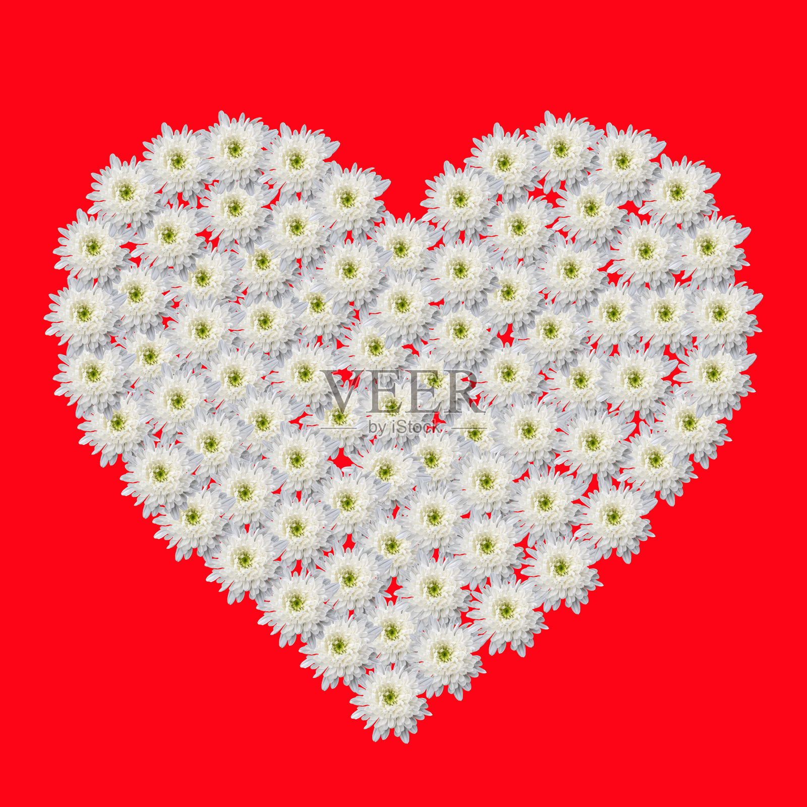 情人节快乐!花做的心照片摄影图片