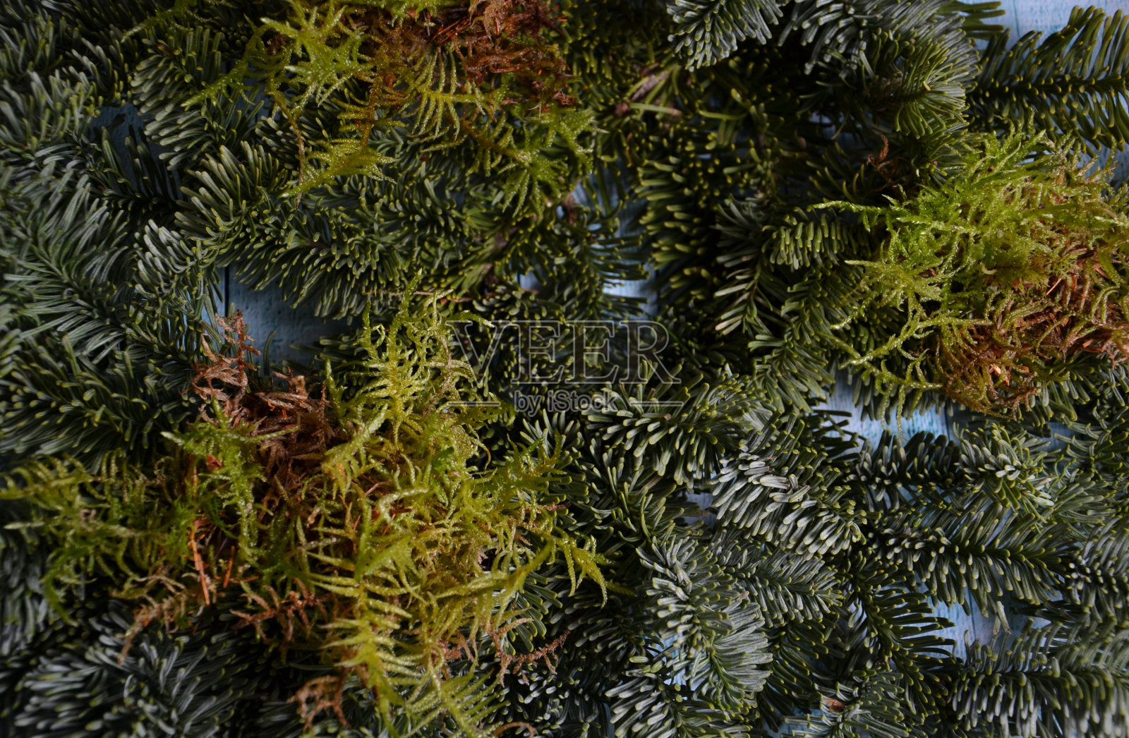 冷杉分支照片摄影图片