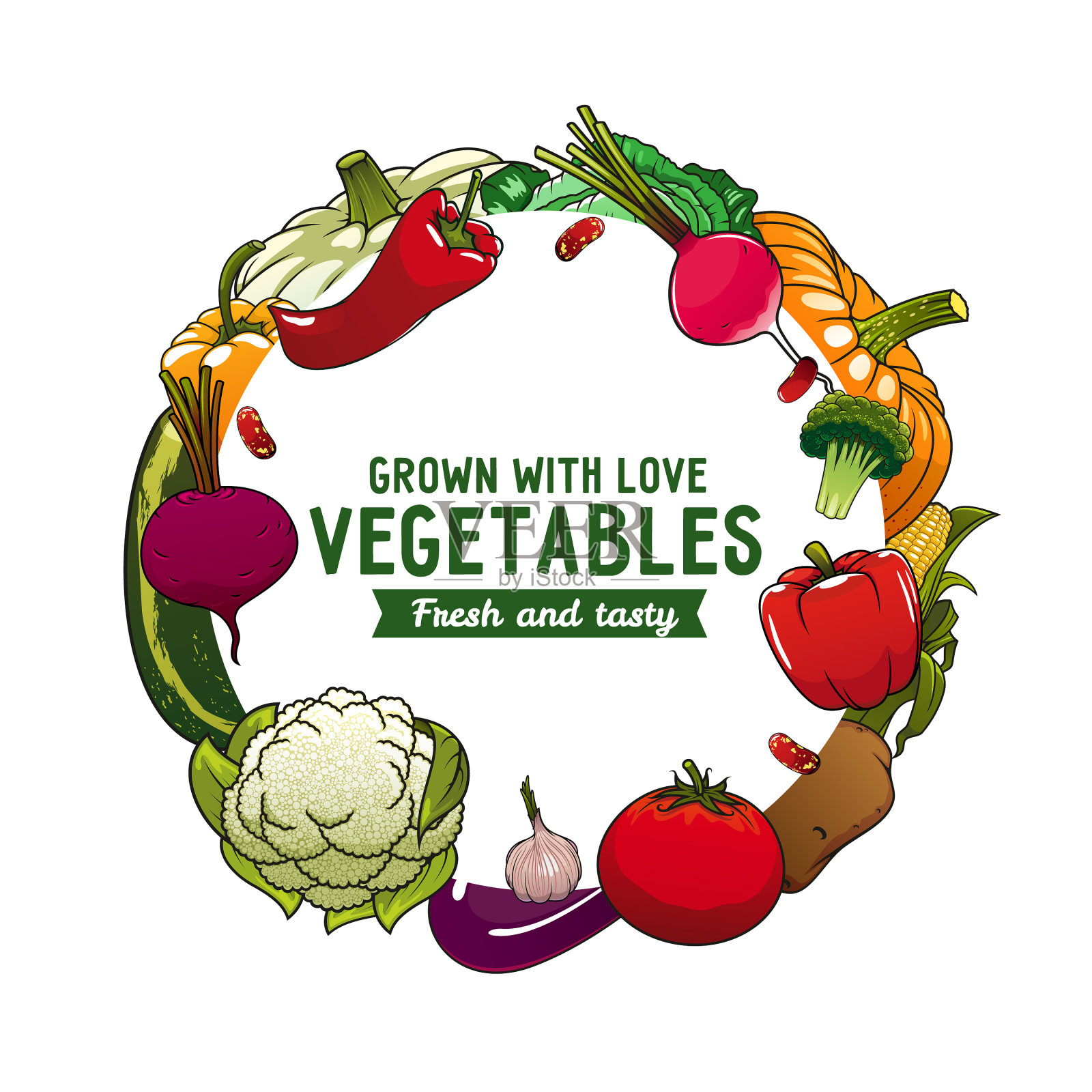 蔬菜横幅与农场收获蔬菜食品插画图片素材