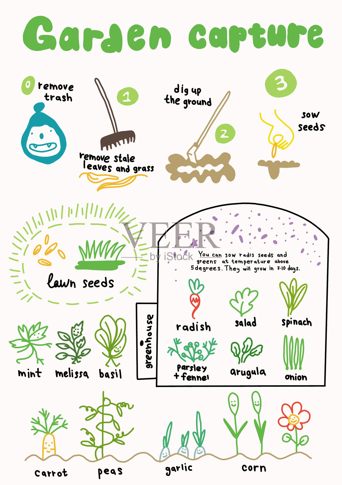 花园捕获生长植物夏季国家插画图片素材