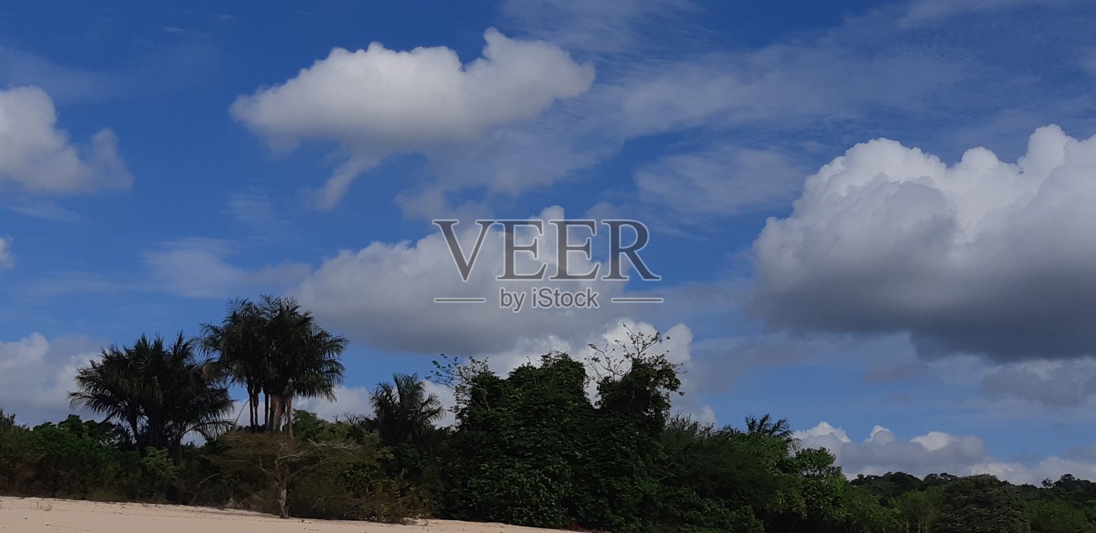 天然美女照片摄影图片