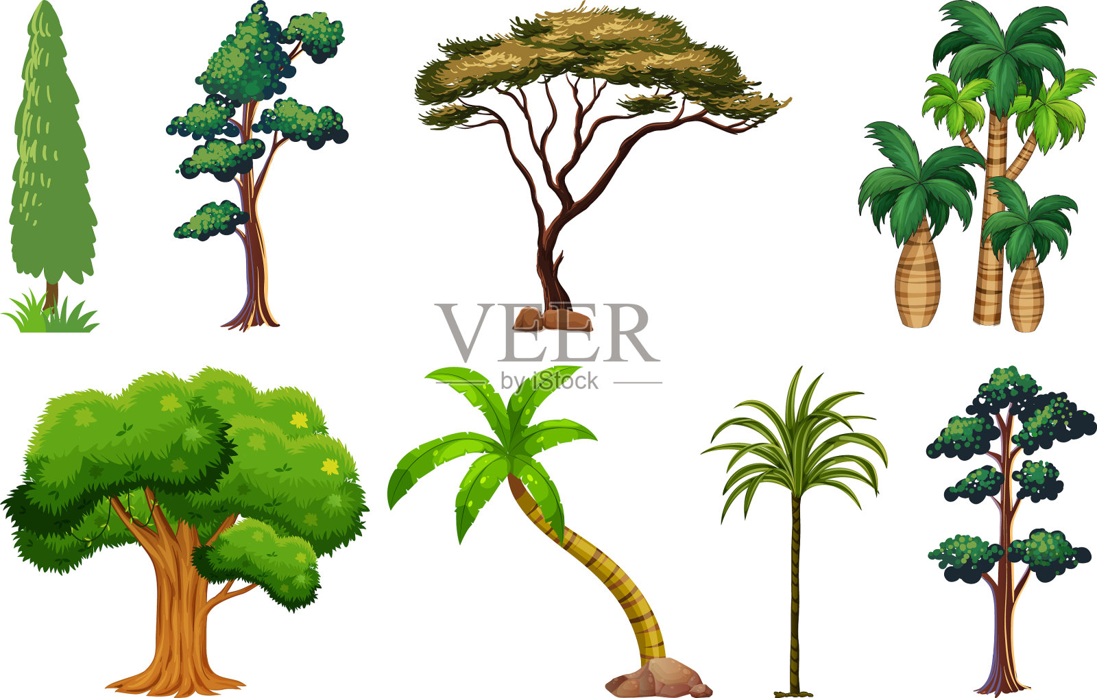 设置多种植物和树木插画图片素材