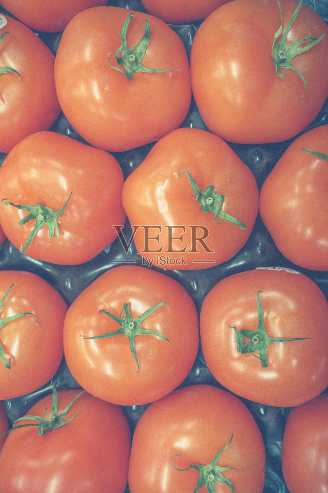 番茄照片摄影图片