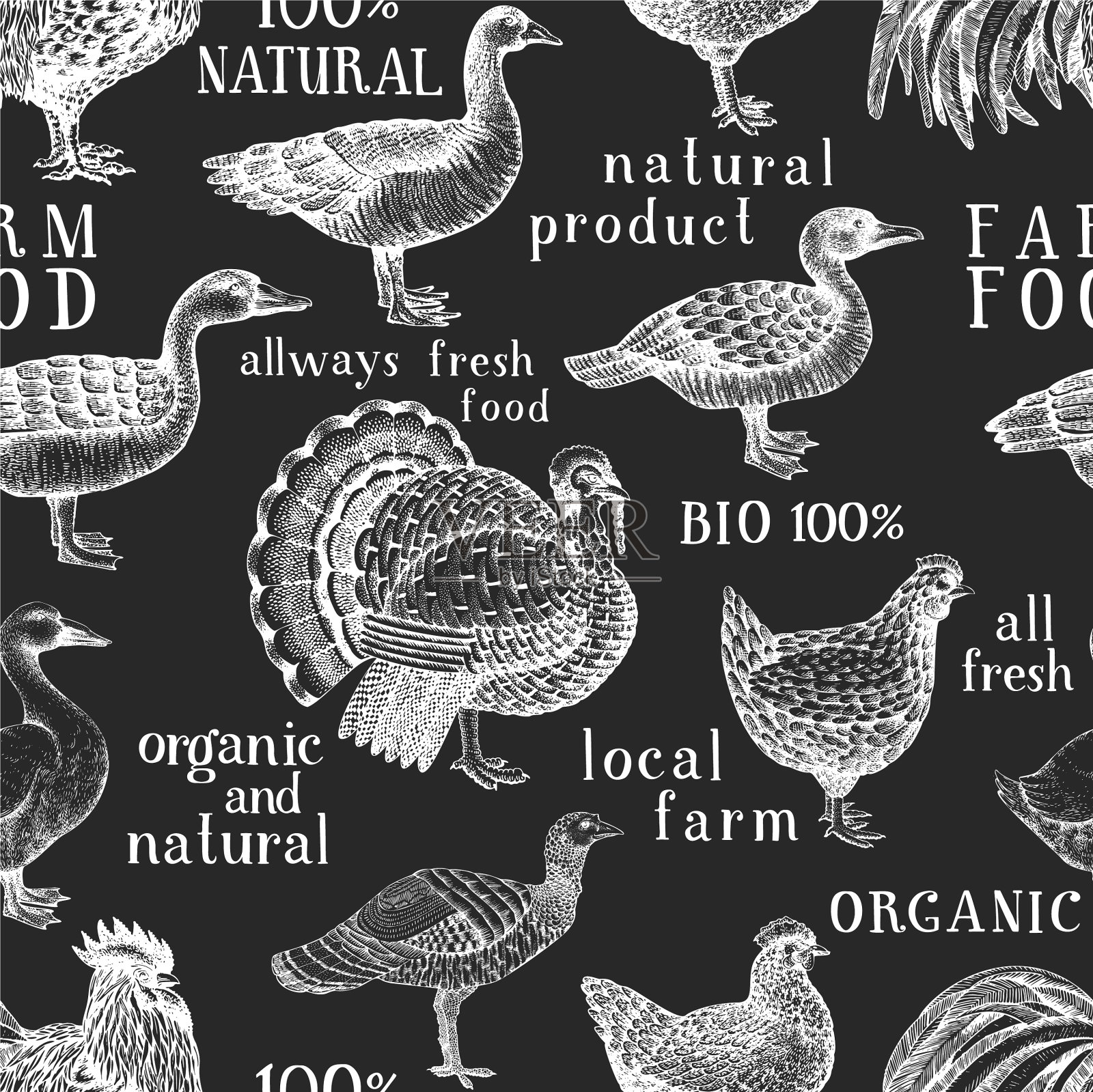 手绘家禽无缝图案鹅火鸡插画图片素材