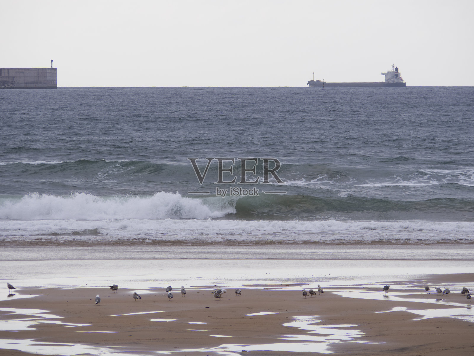 海滩上的日落，海面上有成群的海鸥和货轮照片摄影图片