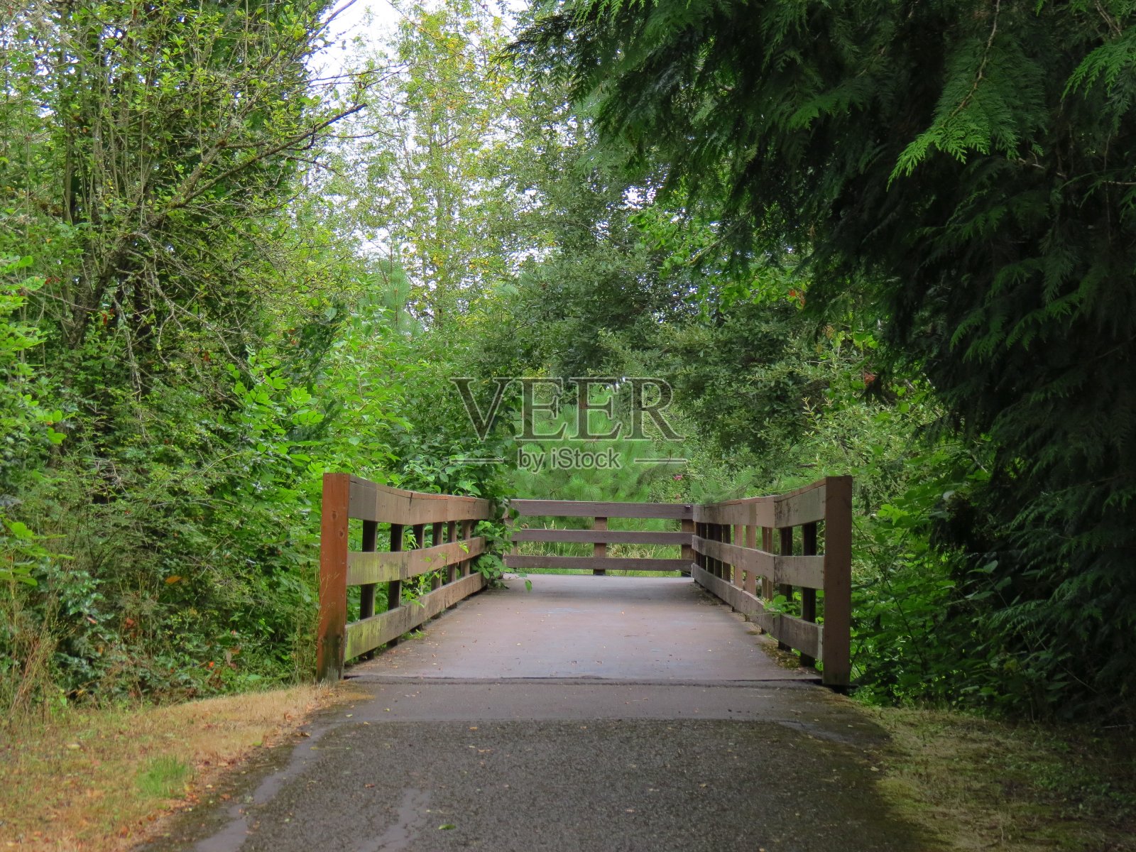 寂寞空桥照片摄影图片