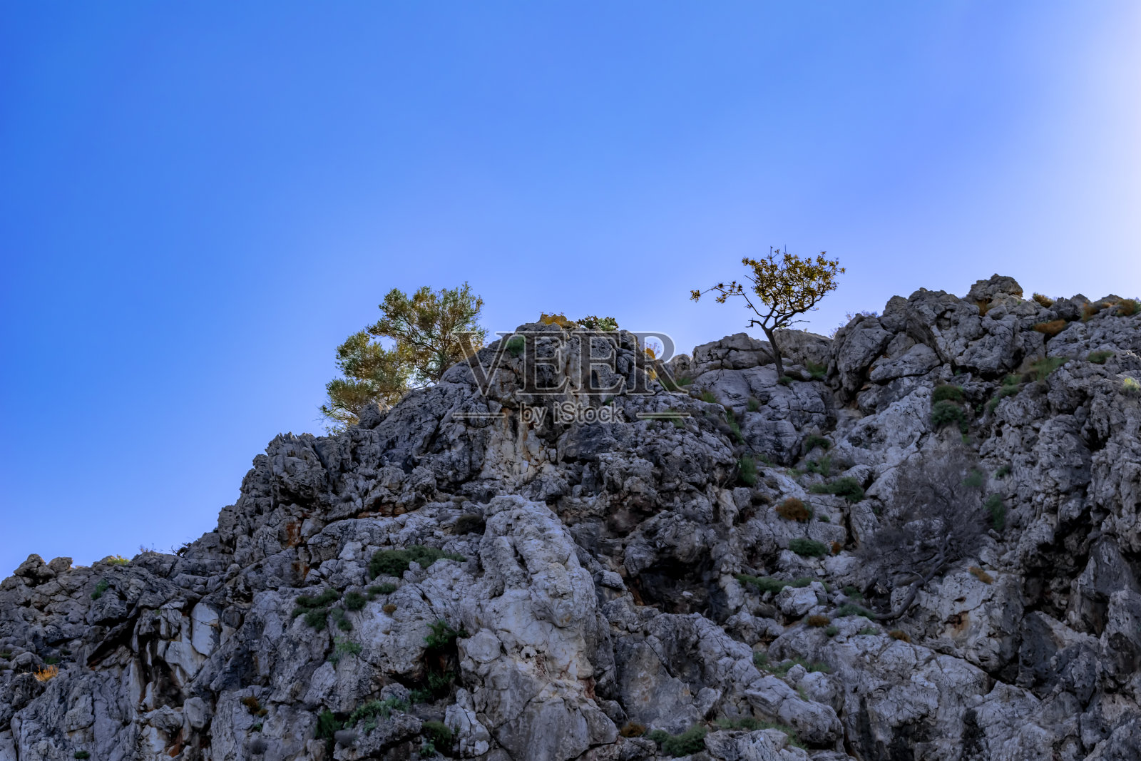 光秃秃的石头，顶部有一棵孤零零的树。蓝天下的一堆岩石照片摄影图片