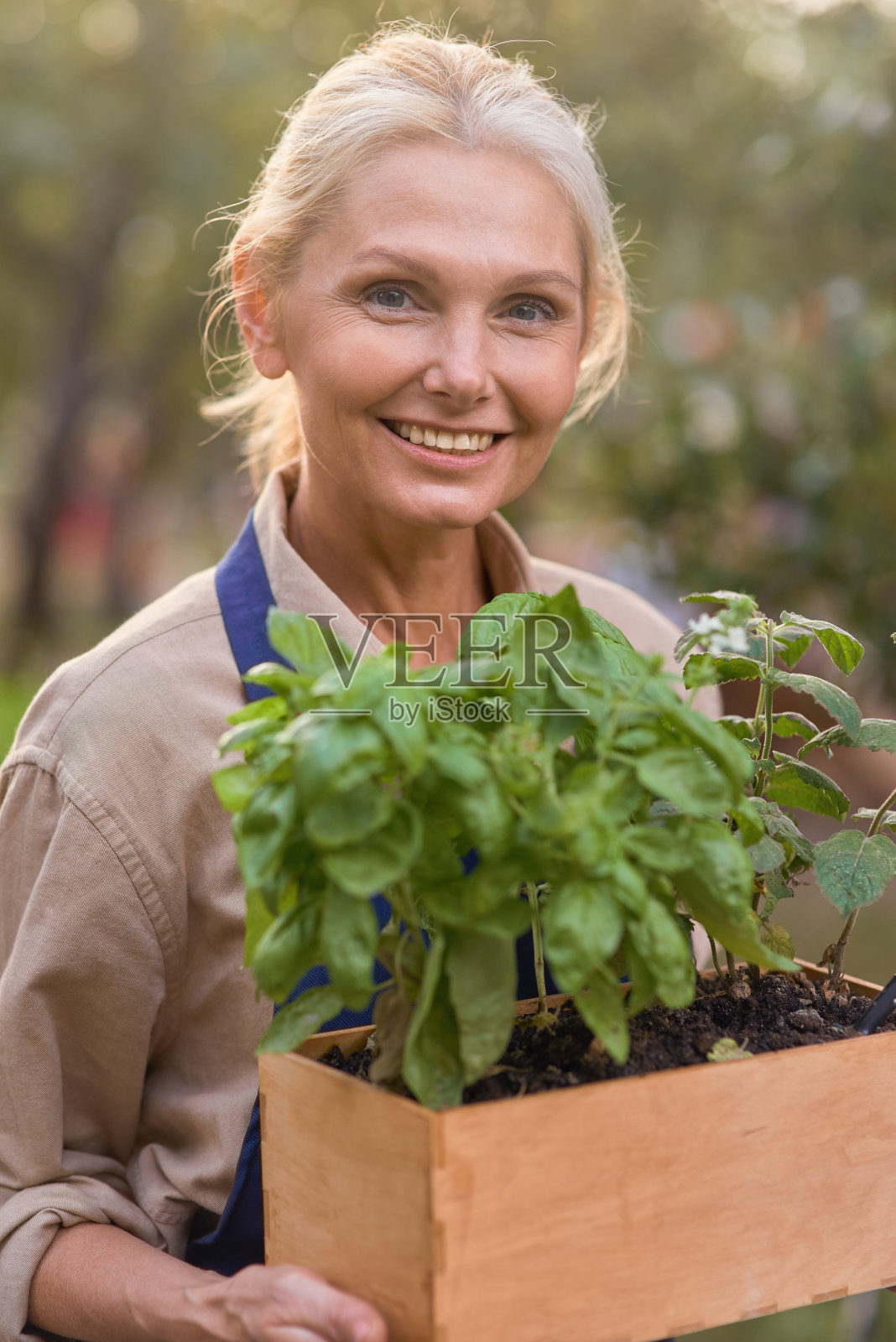 中年白人女商人用草药照片摄影图片