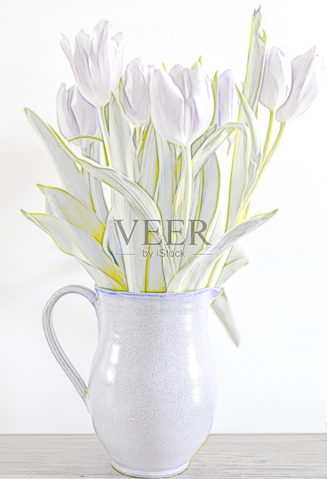 紫色郁金香照片摄影图片