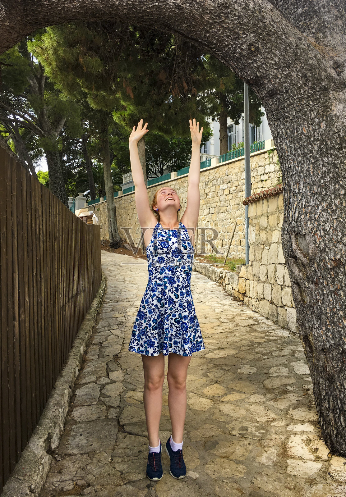 在地中海田园般的夏日环境中，一个女孩把手伸向一棵树。照片摄影图片