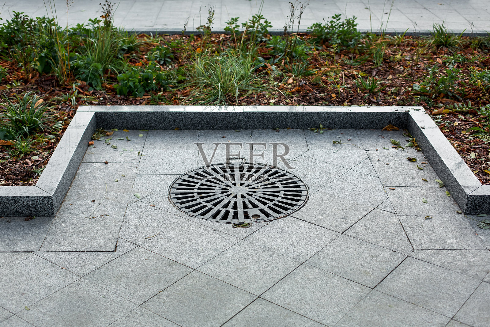 井盖四周黑色金属栅格改良，境内城市公园步行街用花岗石铺成灰色瓷砖，边沿用石头砌成，近景花坛上有植物，无人。照片摄影图片