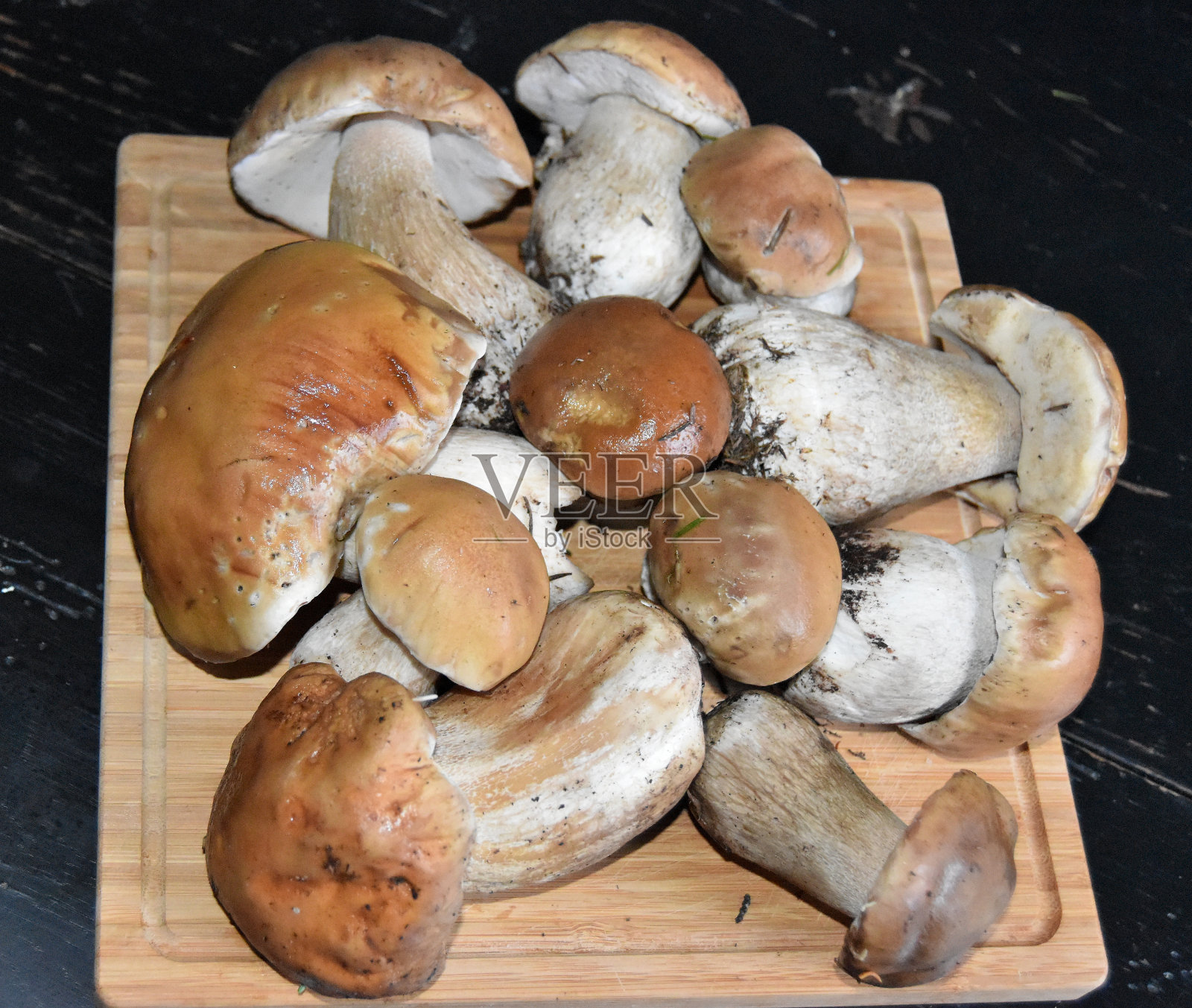 新鲜的香菇照片摄影图片