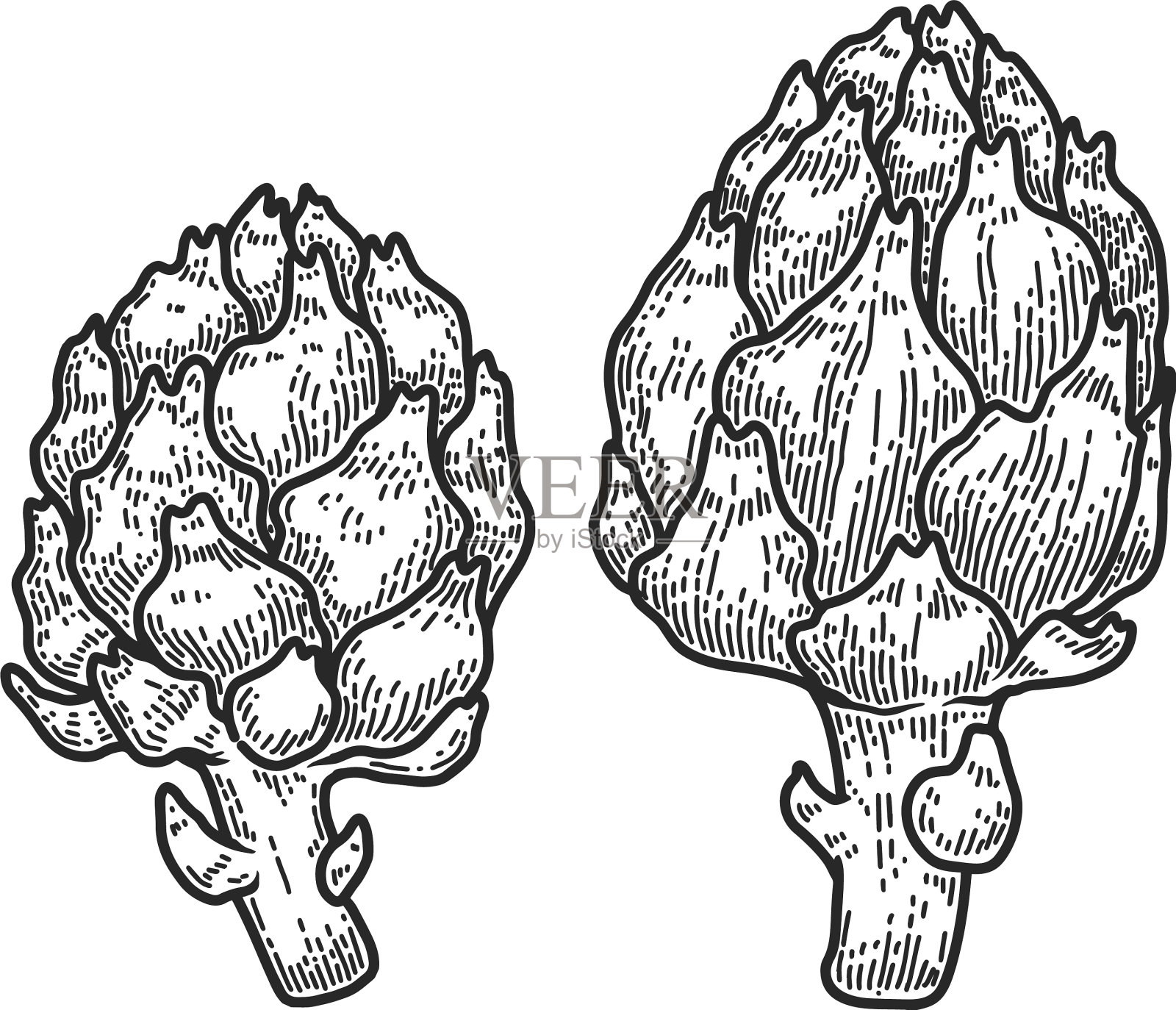 洋蓟在雕刻风格的设计元素设计元素图片