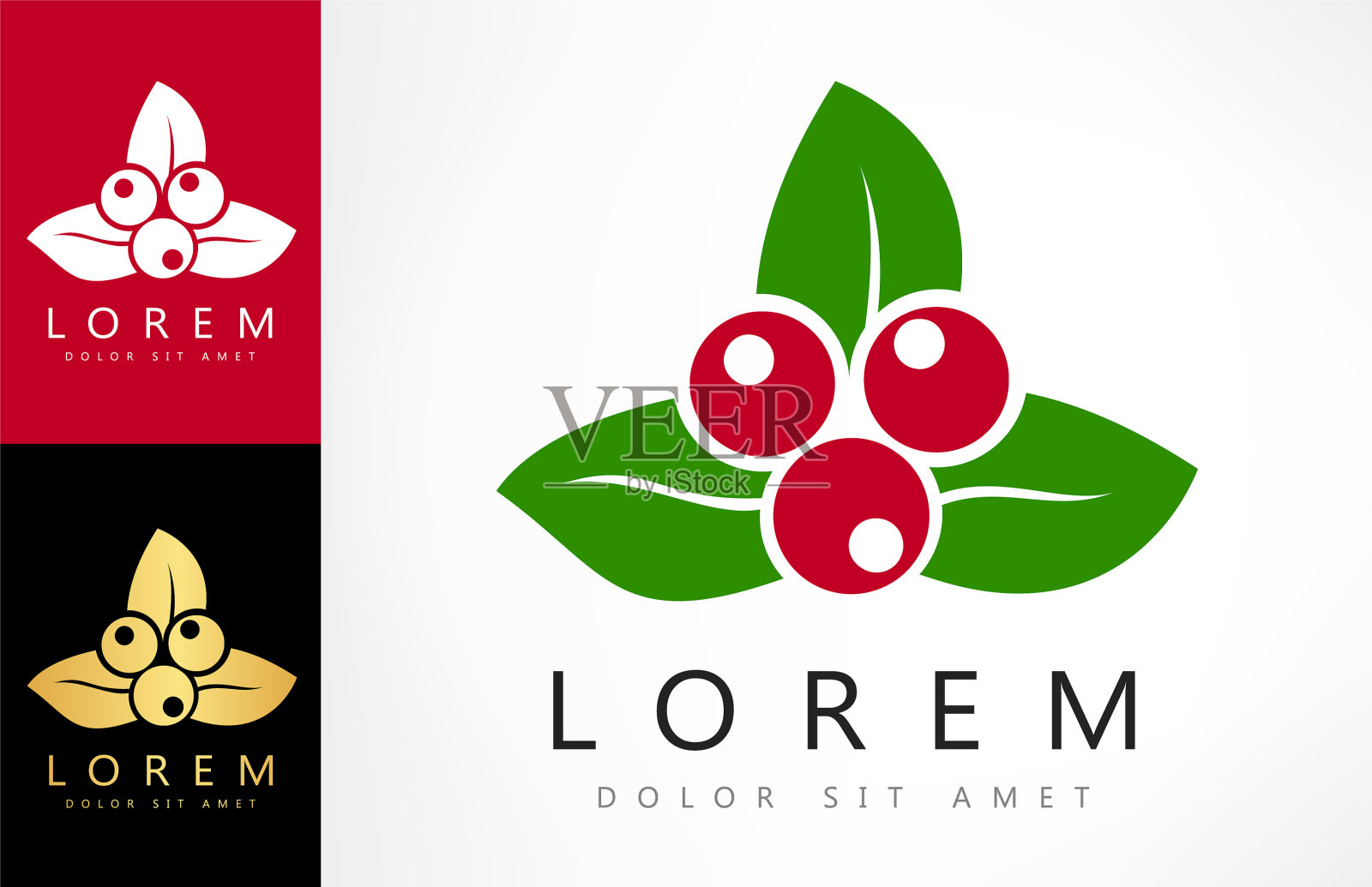 蔓越莓的标志设计插画图片素材