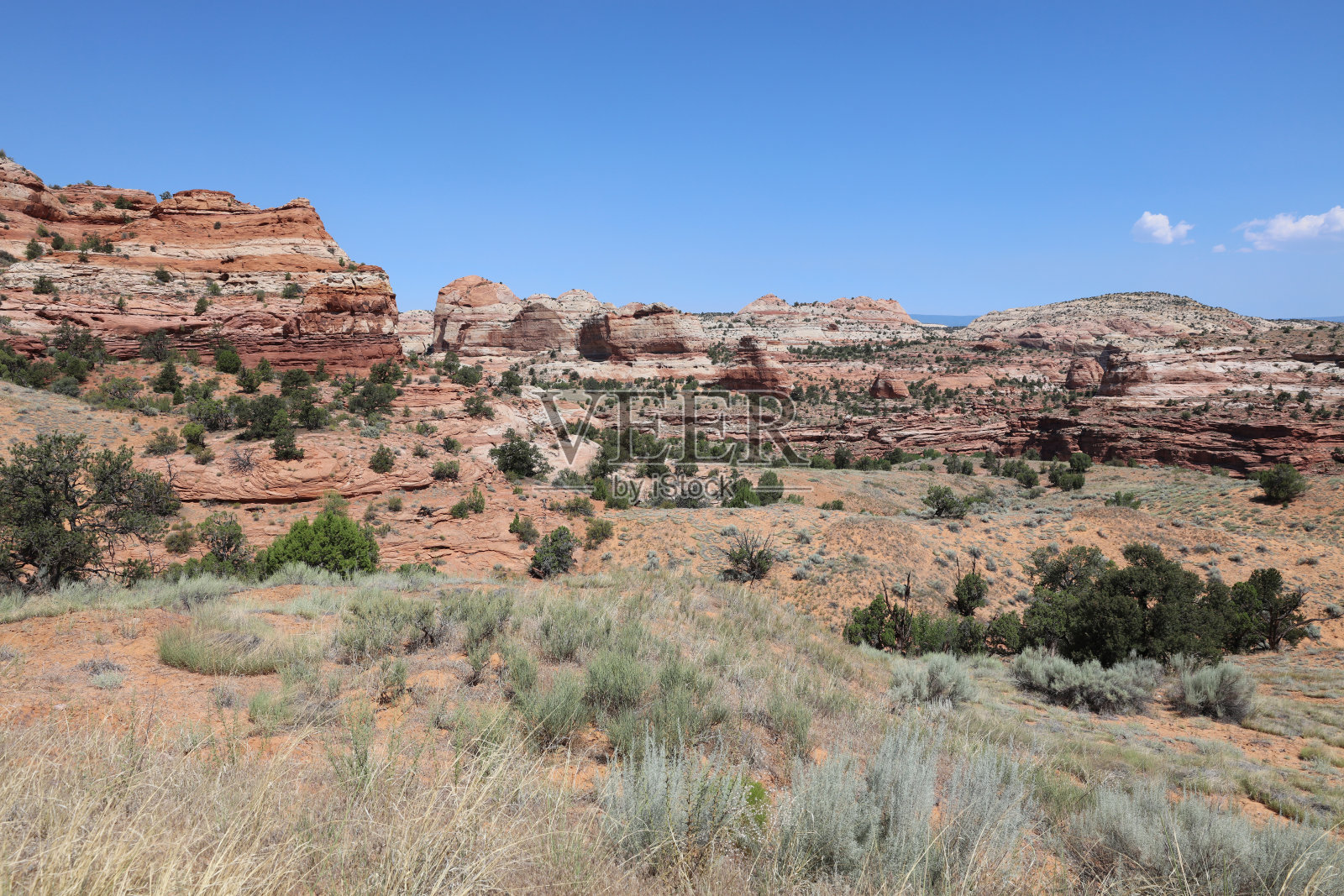 犹他州国会礁国家公园的岩层。美国照片摄影图片