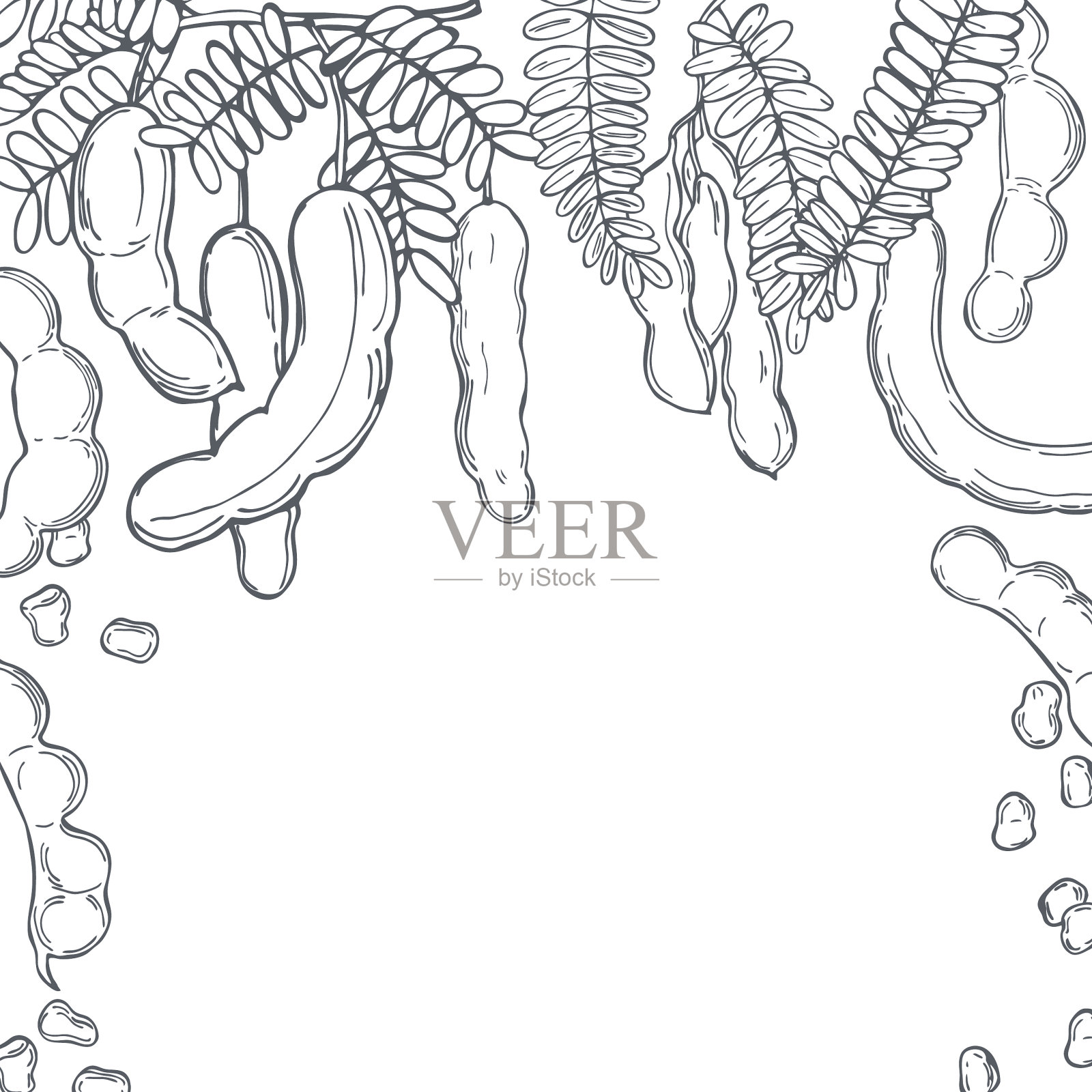 手绘罗望子的背景插画图片素材