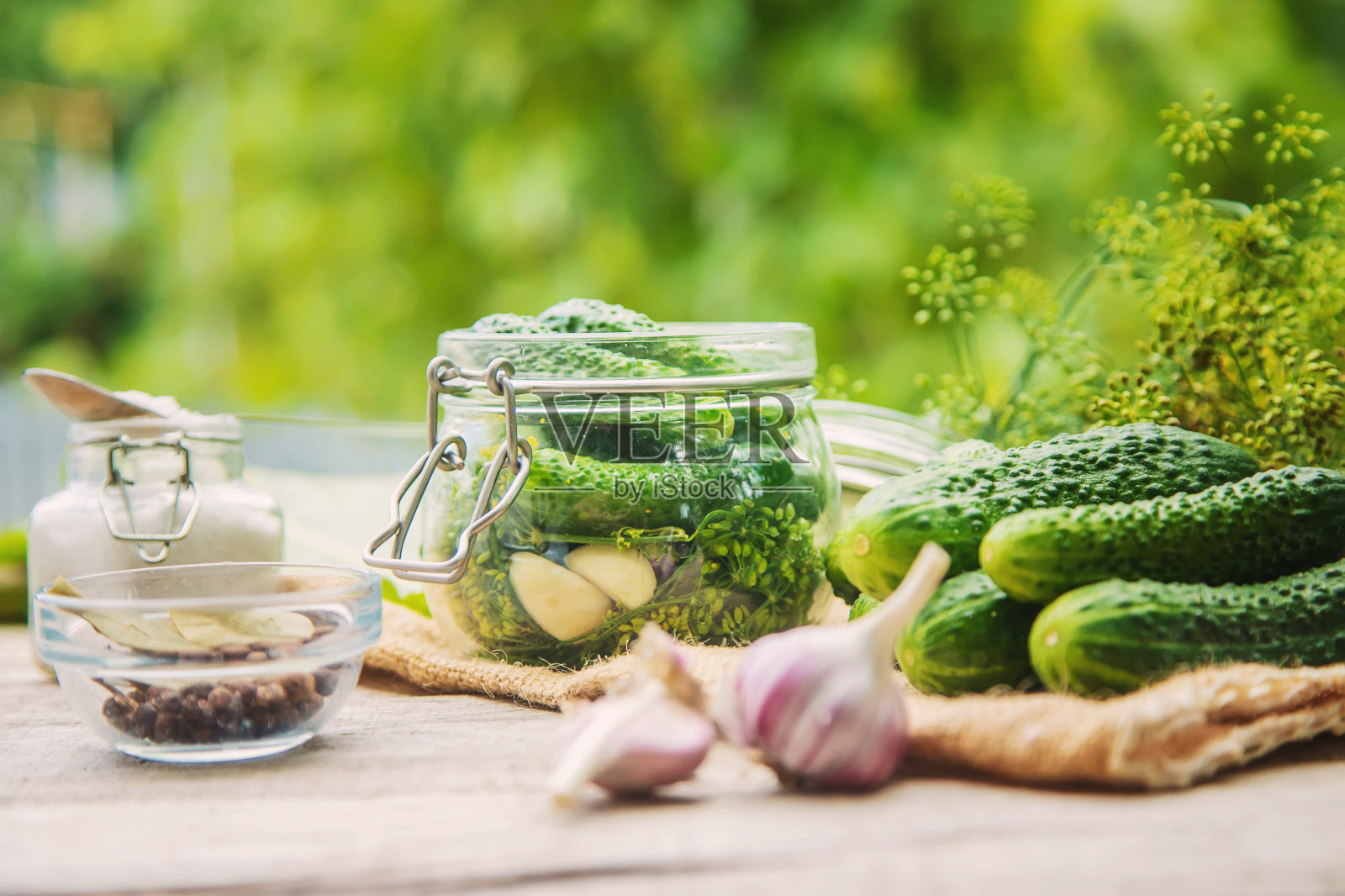 新鲜室内黄瓜的保鲜。有选择性的重点。照片摄影图片