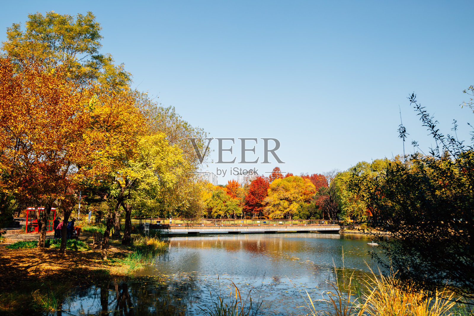 首尔森林公园，池塘里有秋天的五颜六色的树木照片摄影图片