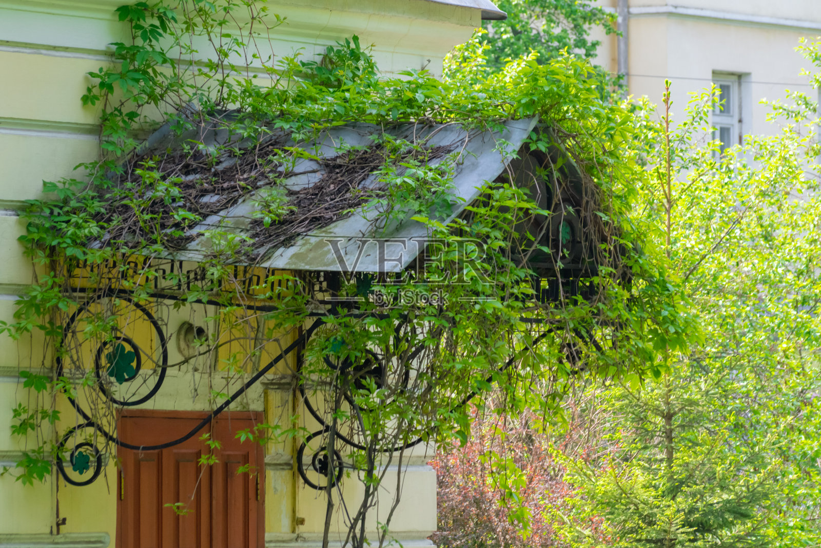 一扇长满草的棕色门上有扭曲图案的金属屋顶照片摄影图片