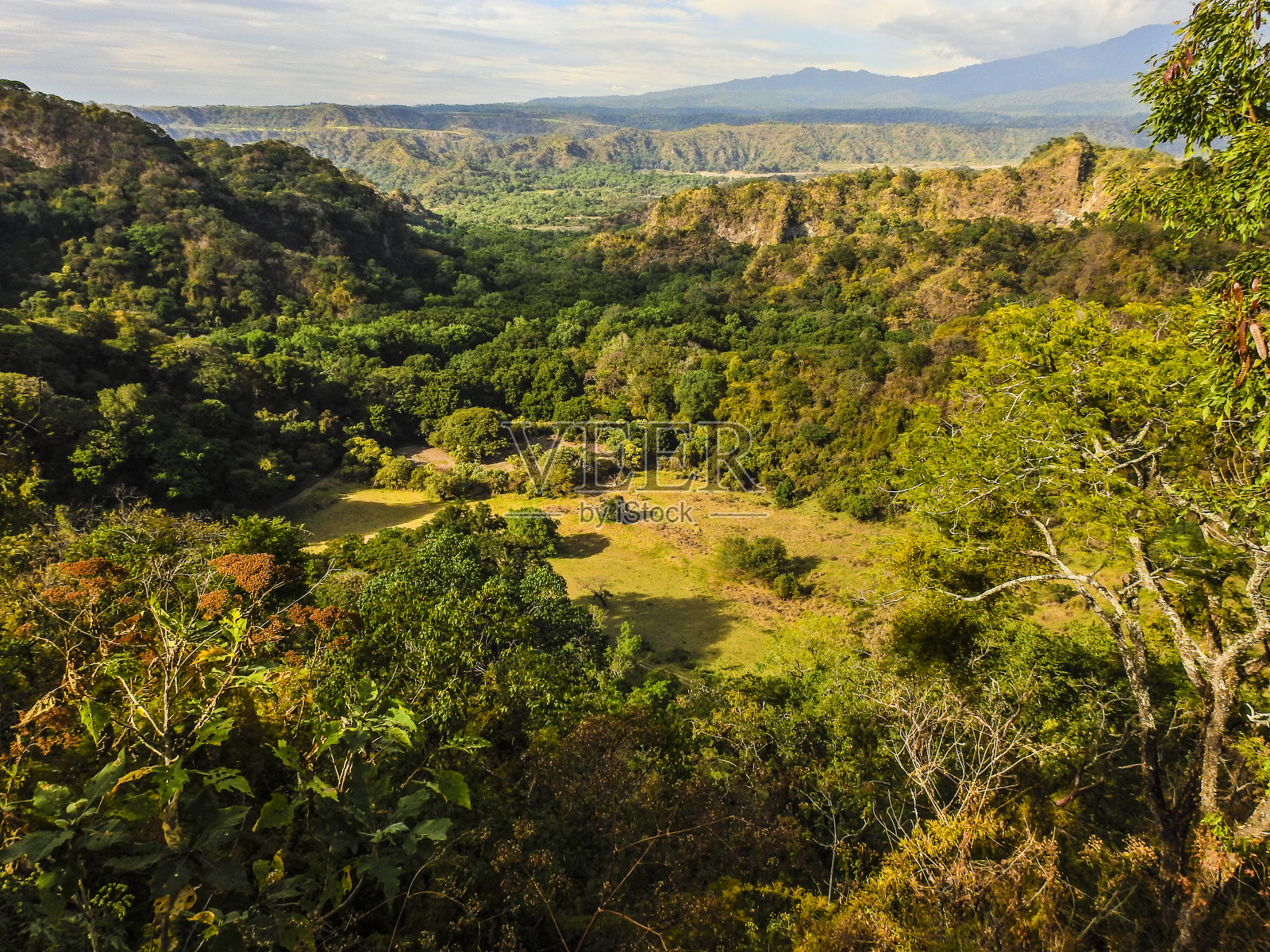圣安东尼奥绿色山谷。照片摄影图片