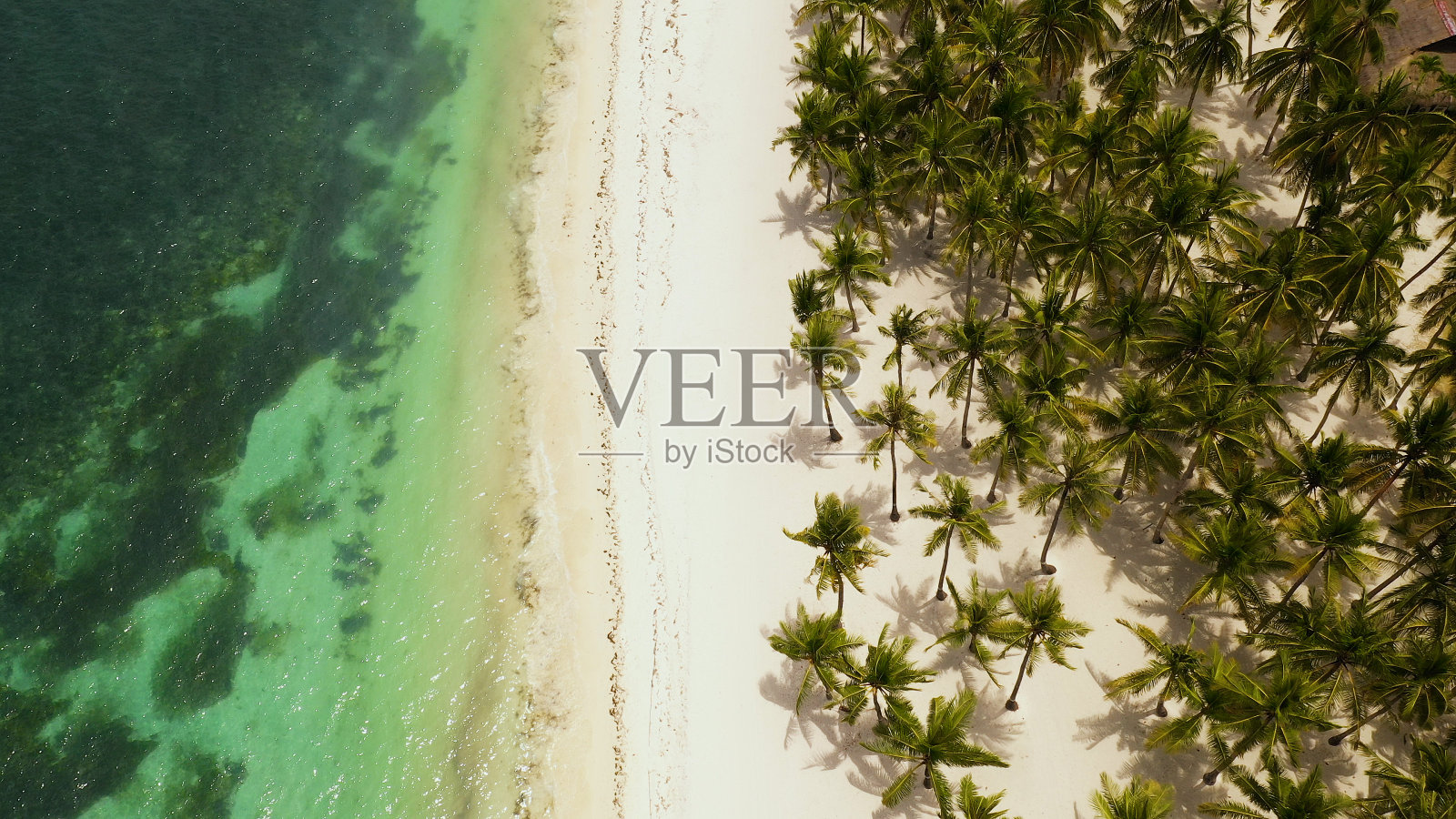 沙滩和热带海洋。Panglao岛,菲律宾照片摄影图片