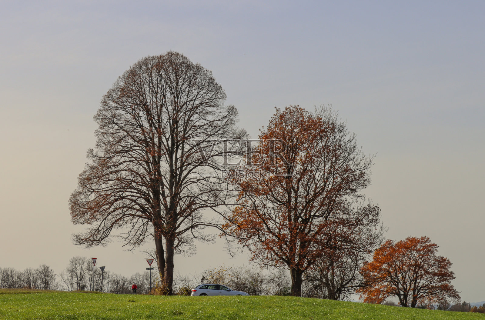 神奇的秋天照片摄影图片