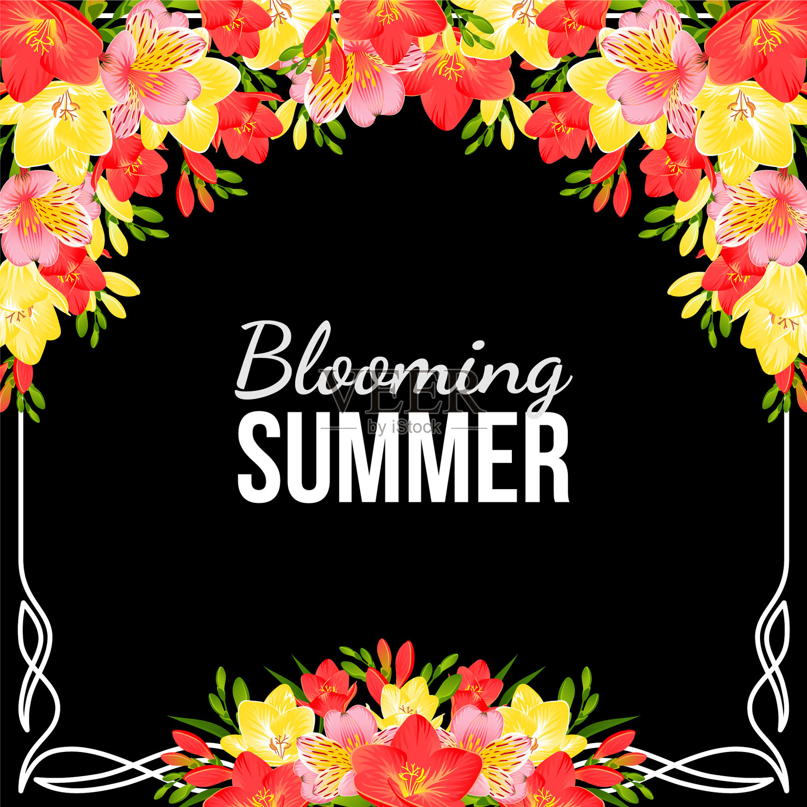 黑色节日背景与小苍兰和插画图片素材