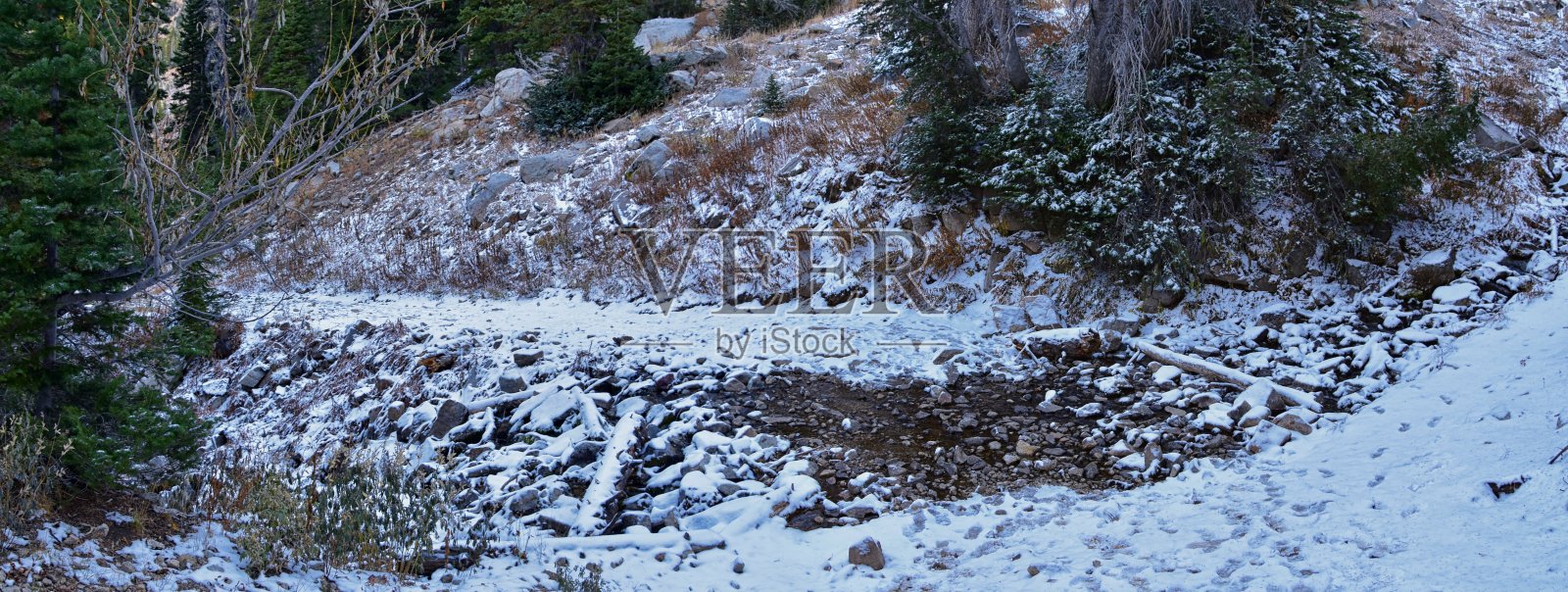 白松湖步道山风景风景到白光迪和Pfeifferhorn徒步旅行步道在小棉花峡谷，Wasatch落基山脉，美国犹他州。照片摄影图片