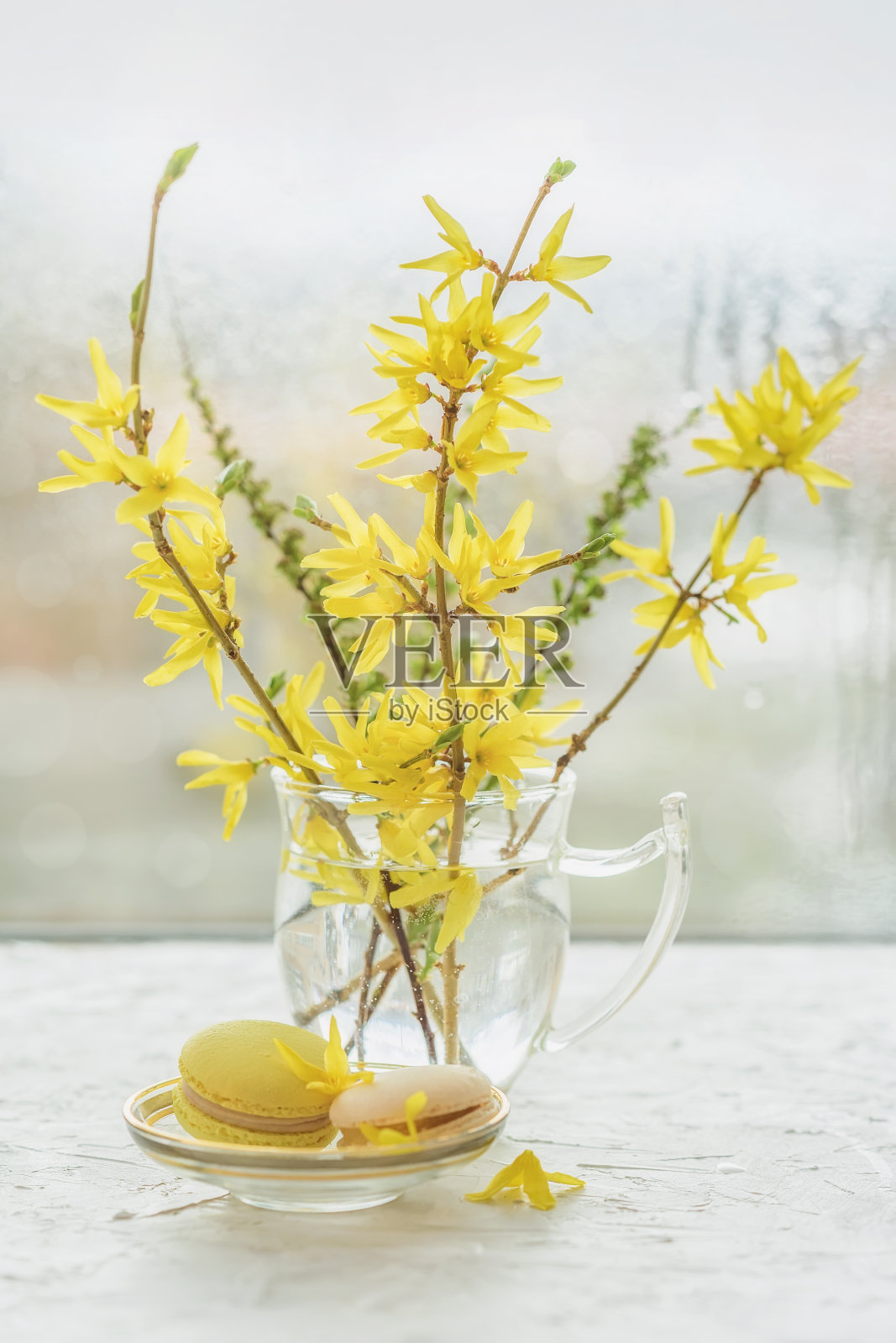 窗台上的玻璃花瓶上放着连翘花的花束，淡淡朦胧的背景上放着美味的马卡龙照片摄影图片