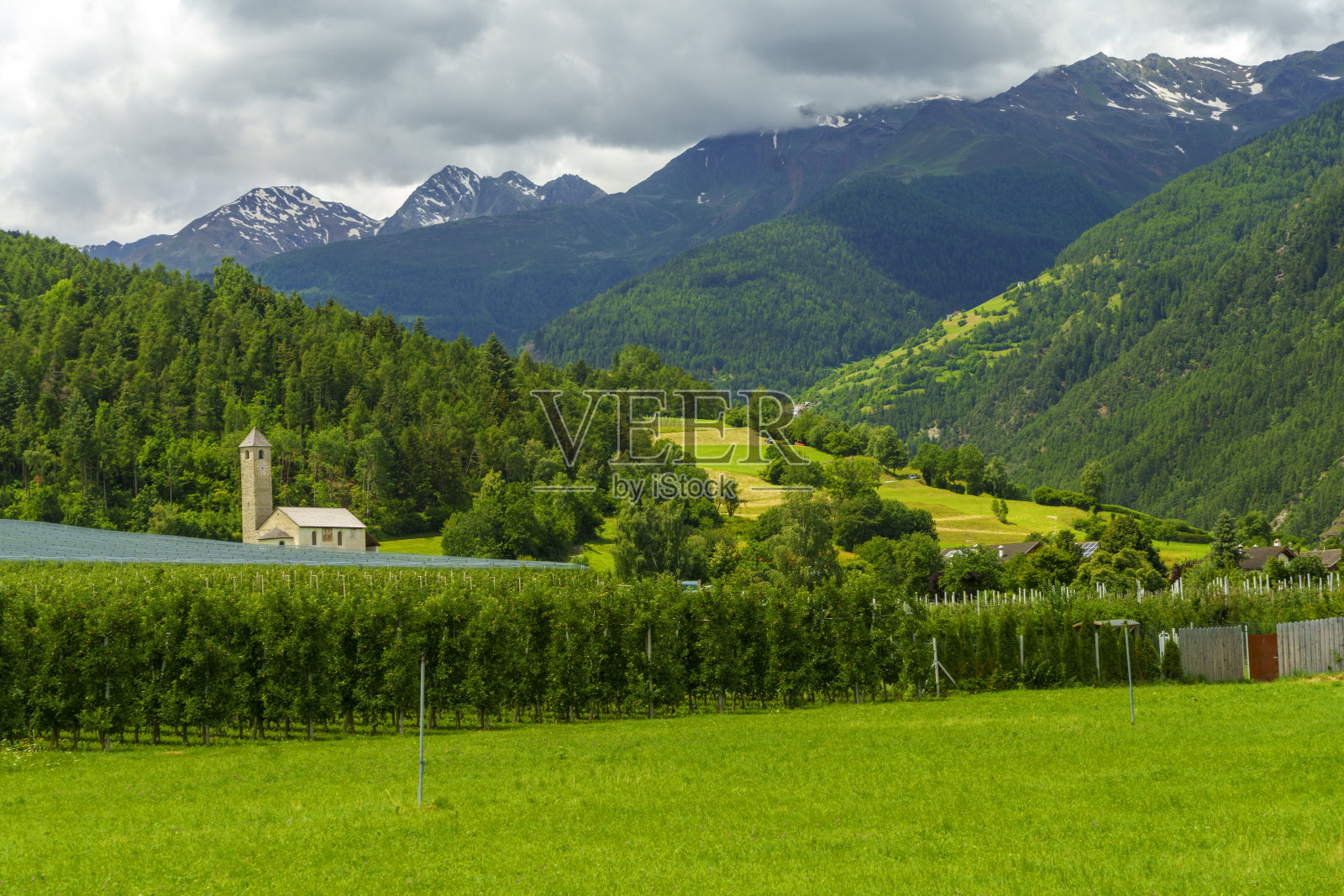 维诺斯塔山谷自行车道的夏季景观照片摄影图片
